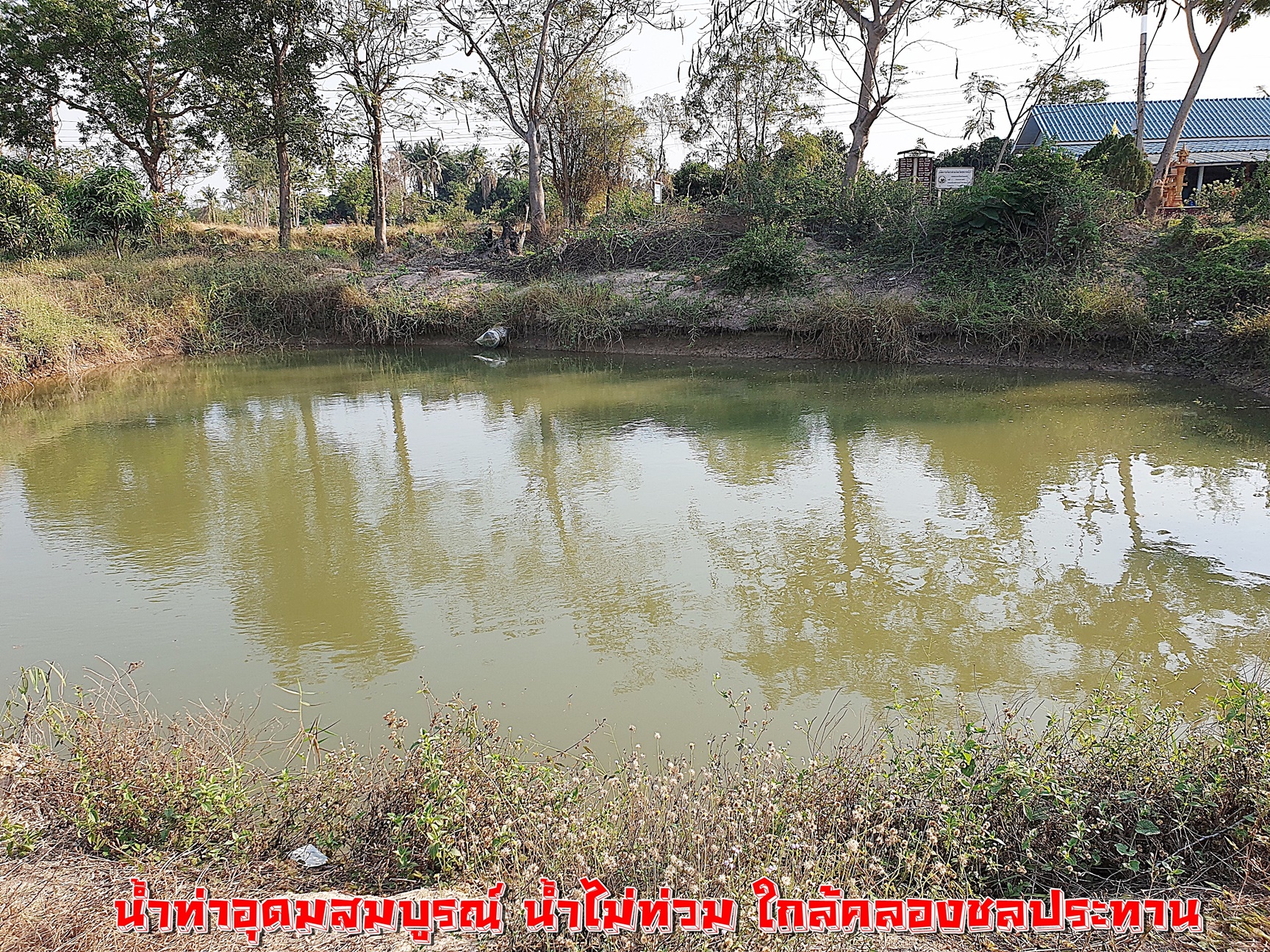 💰ขายแล้ว💰ขายที่ดินสวนมะม่วง ต.สนามคลี อ.เมือง จ.สุพรรณบุรี ขายที่ดินสวนมะม่วง 7-1-50 ไร่ ไร่ละ 480,000 บาท ติดถนนทางหลวงชนบท 3006