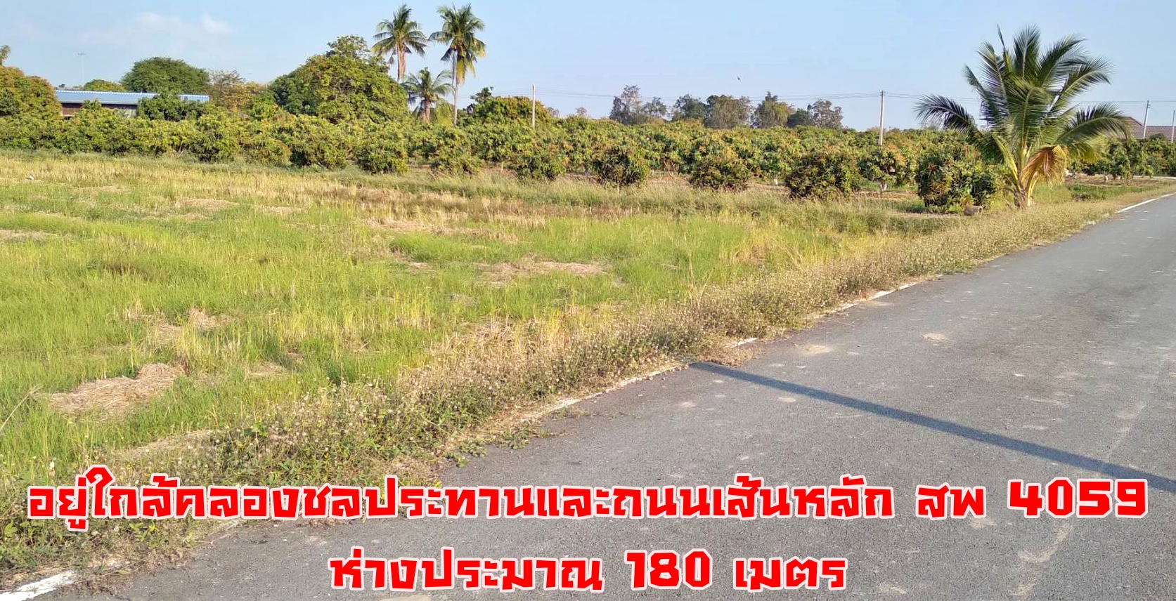 💰ขายแล้ว💰ขายที่ดินสวย ทำเลดีติดถนน อ.เมือง จ.สุพรรณบุรี เนื้อที่ 2 ไร่ ข ายยกแปลง 1,100,000 บาท ที่ดินติดถนนลาดยาง อยู่ใกล้คลองชลประทาน คลองมะขามเฒ่า-อู่ทอง ห่าง 150 เมตร ใกล้ถนนทางหลวงชนบท สพ 4059 เส้นไปดอนเจดีย์ห่าง 150 เมตร