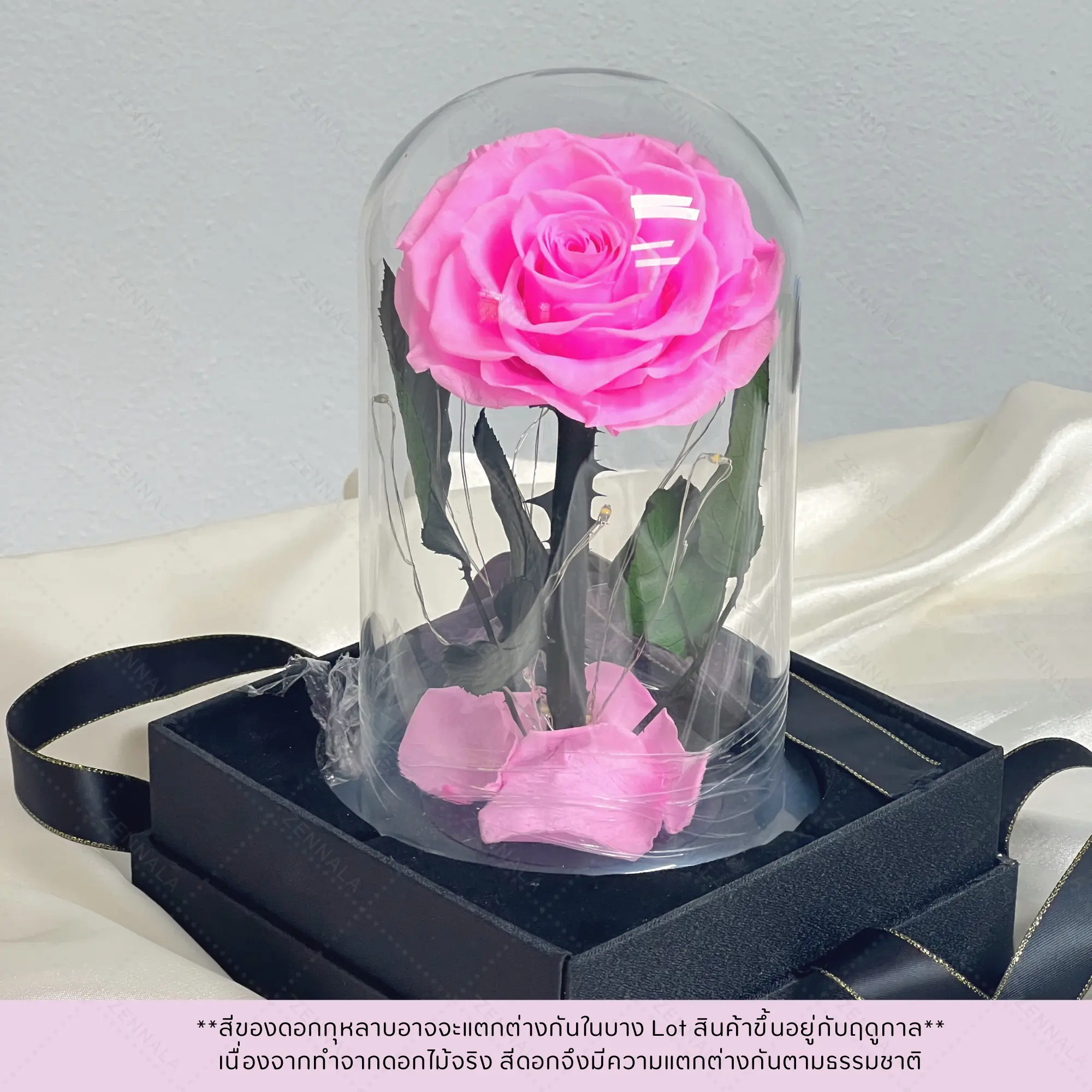 กุหลาบสดในโหลแก้ว มี 2 สีให้เลือก 【มีไฟที่ฐาน】พร้อมกล่องสุด Premium
