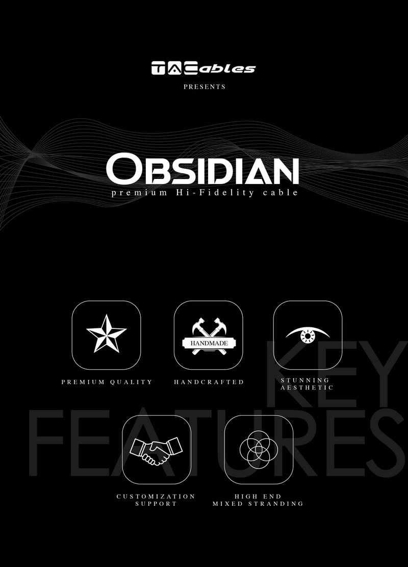 ขาย TACables Obsidian สายอัพเกรดหูฟัง Handmade ระดับเทพ