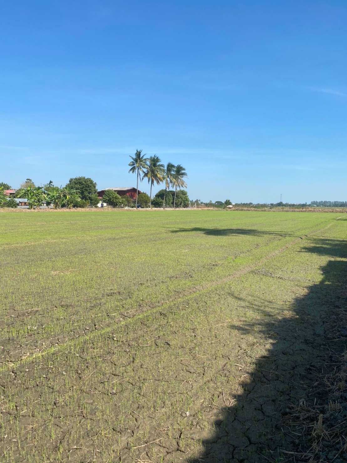 💰ขายแล้ว💰ขายที่ดินติดถนนลาดยาง อ.เมือง จ.สุพรรณบุรี 4 ไร่ 56 ตรว ทำเลดี ที่สวย บรรยากาศดี วิวทิวทัศน์สวยงาม ขายยกแปลง 1,800,000 บ. ติดถนนทางสาธารณประโยชน์ ลาดยาง 2 ด้าน