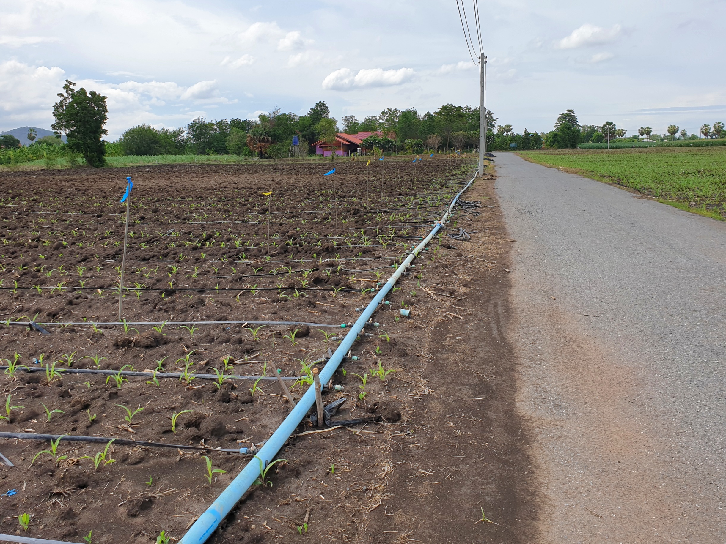 💰ขายแล้ว💰ขายที่ดินสวย ทำเลดี 3 ไร่ 2 งาน อ.อู่ทอง จ.สุพรรณบุรี ติดถนนลาดยาง ท่ามกลางธรรมชาติ วิวภูเขา