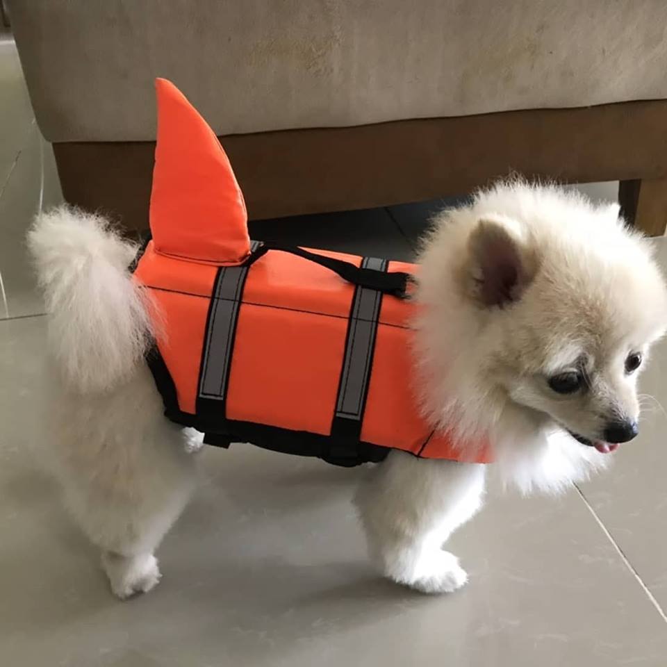 เสื้อชูชีพสุนัขแบบหางฉลาม : สีส้ม