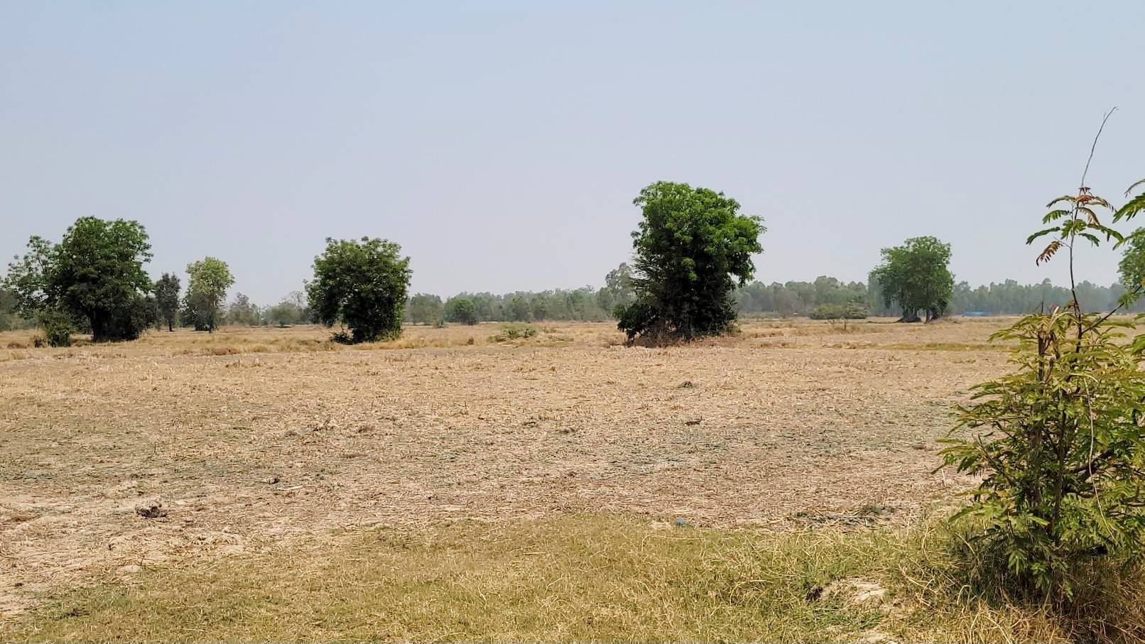 ðāļāļīāļāļāļĢāļąāļāļĒāđð āļĢāļĩāļāļāļĨāļąāļāļāļ°āļāđāļāļ āļāļēāļĒāļāļĩāđāļāļīāļāļāļāļāļāļēāļāļŦāļĨāļ§āļāđāļāđāļāļāļīāļ 333 āļāļđāđāļāļāļ-āļŠāļĢāļ°āļāļĢāļ°āđāļāļĄ (āđāļāļĢāļāļāļēāļĢāļāļĒāļēāļĒ 4 āđāļĨāļāđāļĢāđāļ§āđāļāļĩāđ) āđāļāļ·āđāļāļāļĩāđ 4 āđāļĢāđ 3 āļāļēāļ 92 āļāļēāļĢāļēāļāļ§āļē āļāļēāļĒāđāļĢāđāļĨāļ° 949,000 āļāļēāļ/āđāļĢāđ āļŦāļāđāļēāļāļ§āđāļēāļāļāļīāļāļāļāļ 48 āđāļĄāļāļĢāļĨāļķāļ 147 āđāļĄāļāļĢ āļāļģāđāļĨāļāļĩāļāļēāļĒāļāļđāļ āļāđāļēāļāđāļāļĩāļĒāļ āļāļēāļĒāđāļĢāđāļĨāļ° 1.5 āļĨāđāļēāļ