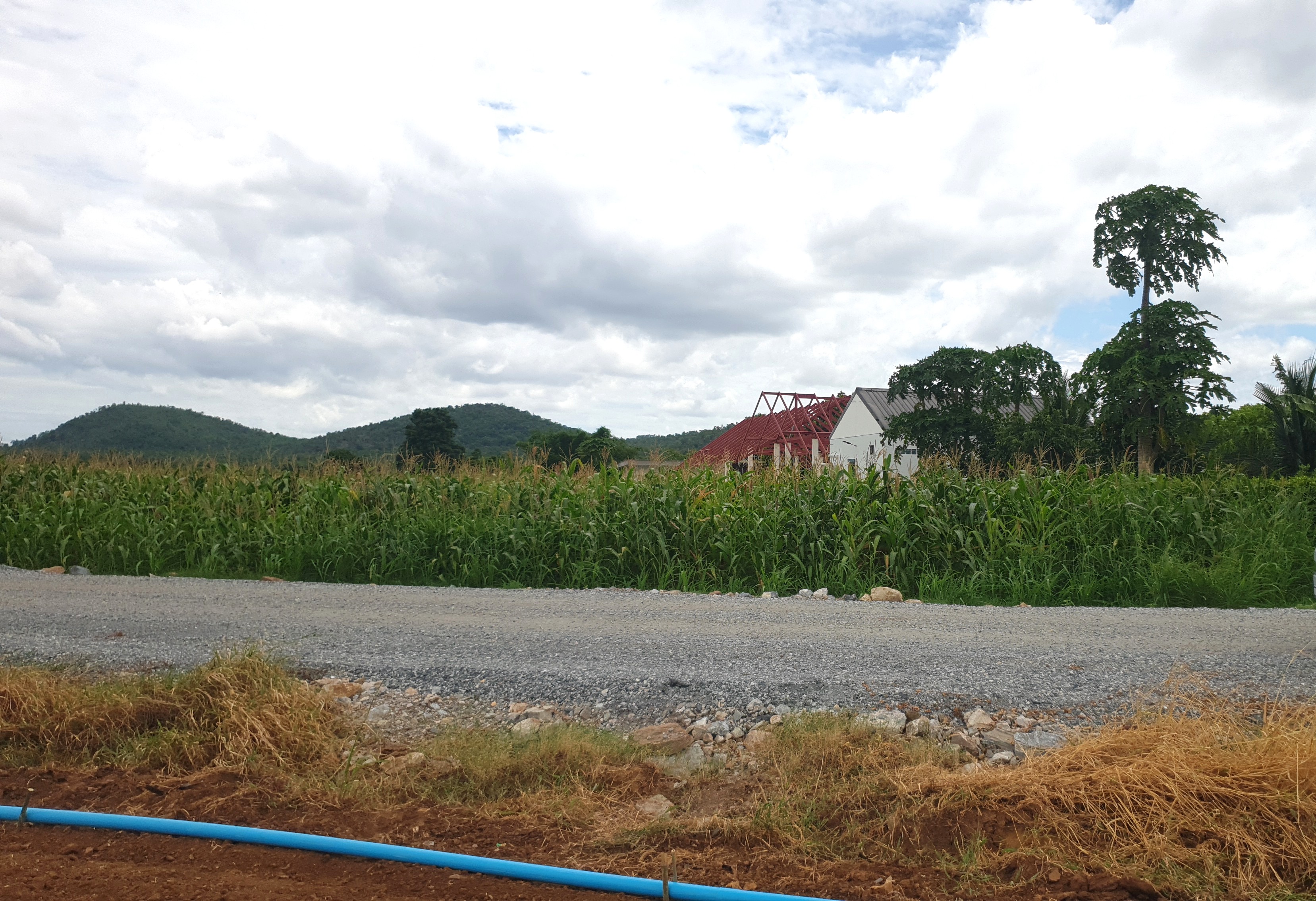 ขายที่ดินสวย 12 ไร่ 2 งาน 53.5 ตร.ว. หน้ากว้างติดถนนสาธารณะ 193 ม. วิวภูเขา 180° อากาศดี เงียบสงบ เหมาะทำบ้านพัก รีสอร์ต หรือเกษตรครบวงจร โอบล้อมด้วยทิวเขา 180° วิวอลังการเต็มตา บรรยากาศธรรมชาติสุดฟิน