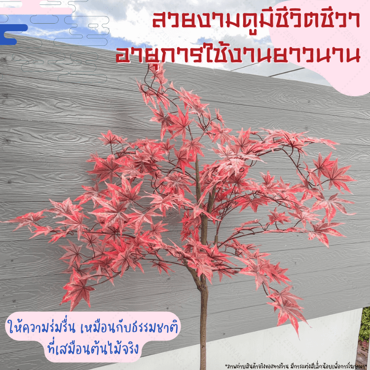 ต้นเมเปิ้ลปลอม red maple พร้อมกระถางดำ🌲150cm.