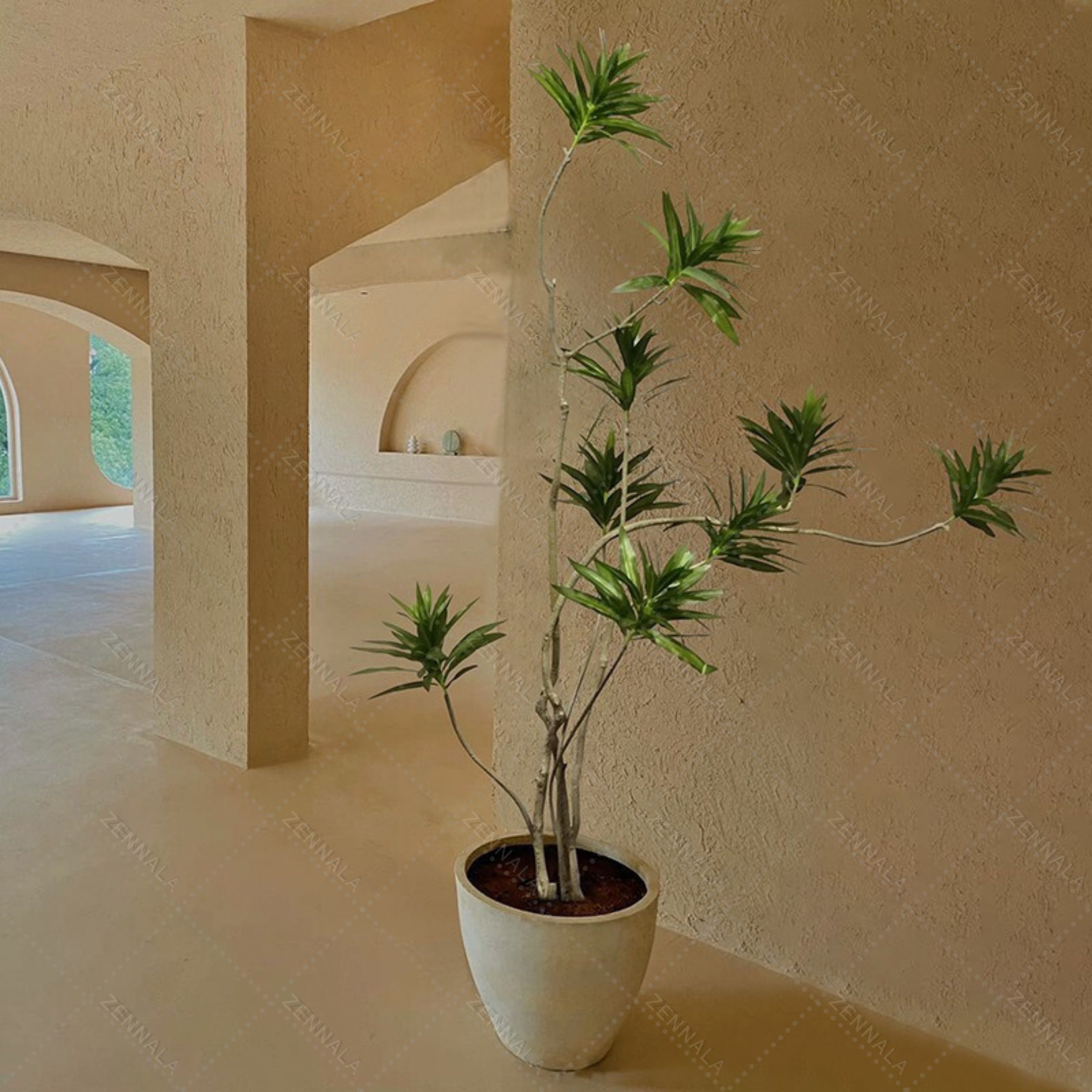 ต้น Llly Bamboo 140cm. / 160cm.