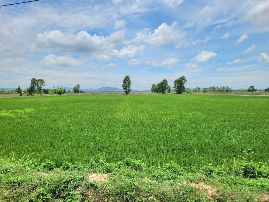 💰ติดทรัพย์💰ขายที่ดินแปลงสวย ทำเลทอง ติดถนนสี่เลน อ.อู่ทอง จ.สุพรรณบุรี เนื้อที่ 4-3-66 ไร่ ไร่ละ 1.4 ล้าน หน้ากว้างติดถนน 47 เมตร ลึก 185 เมตร ทำเลดี ที่สวย อยู่ใกล้สถานที่ท่องเที่ยวหลายแห่งในเมืองสุพรรณ