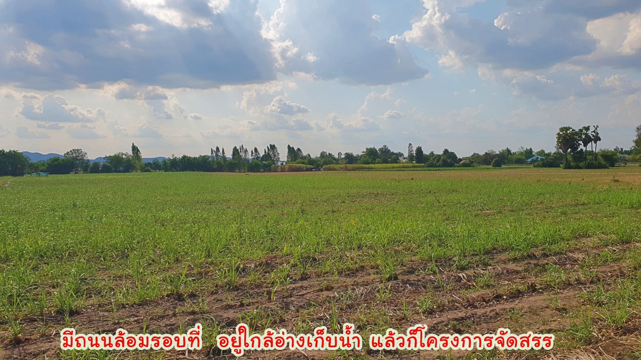 ขายที่ดินทำเลดี ติดถนนทางหลวง 333 อู่ทอง-สระกระโจม เนื้อที่ 97 ไร่ 3 งาน 27 ตรว ไร่ละ 260,000 บ. มีโครงการจะขยาย 4 เลน หน้ากว้างติดถนน 208 เมตร มีทางสาธารณะรอบที่