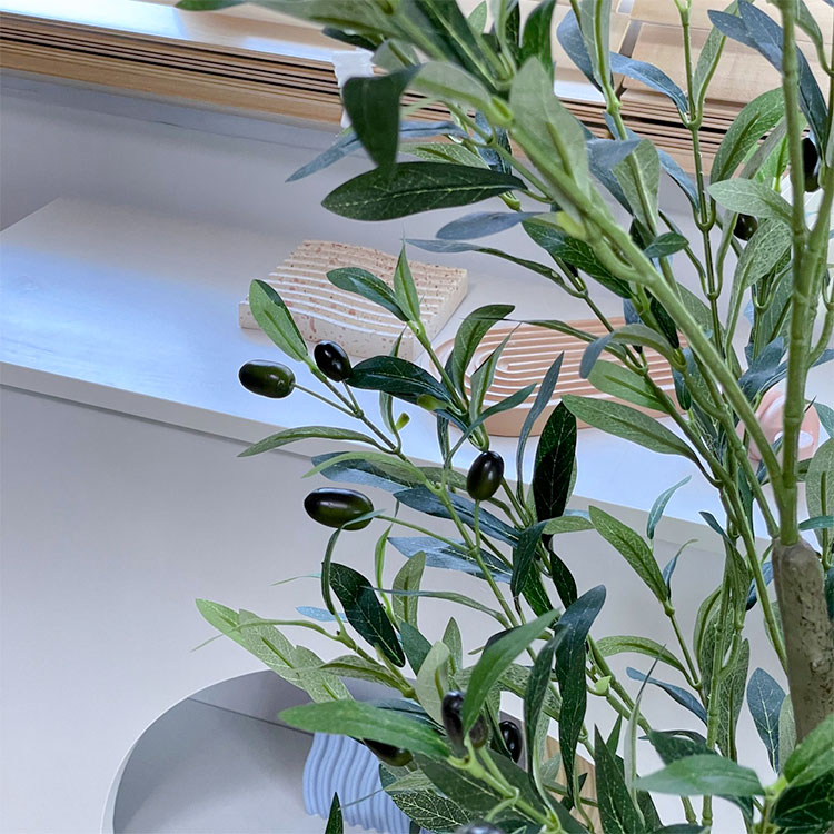 ต้นโอลีฟปลอม พร้อมกระถางดำ🌲 ( มี 5 ขนาด 60 cm. 90cm. 120cm. 150cm. 180cm. 210cm.)