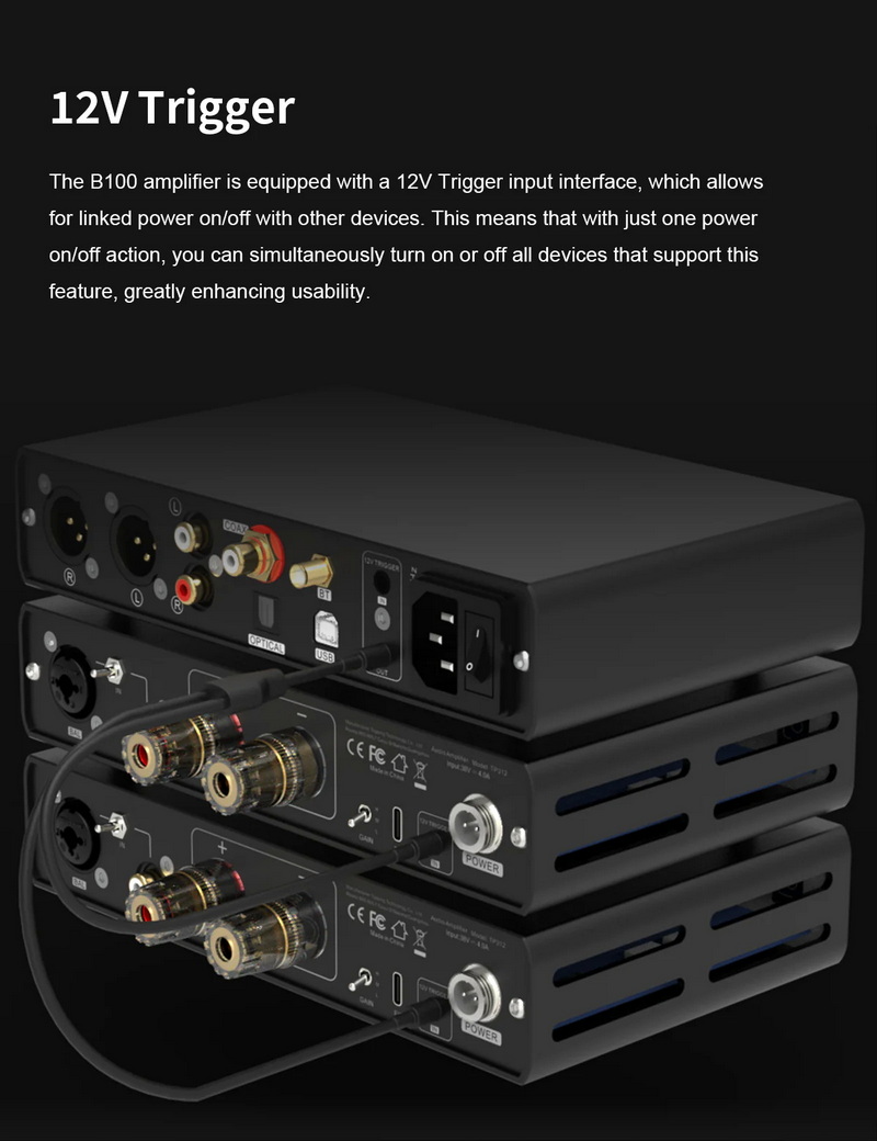 TOPPING B100 Mono Amplifier ตั้งโต๊ะ กำลังขับสูง การบิดเบือนต่ำ ประกันศูนย์ไทย