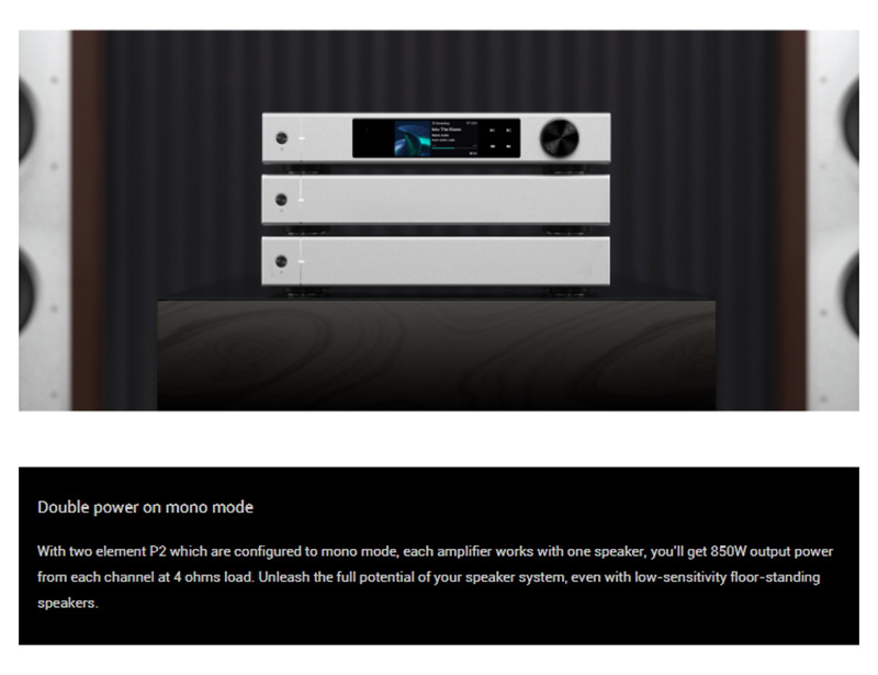 Matrix Audio Element P2 Power Amplifier คลาส D สำหรับเครื่องเสียง ประกันศูนย์ไทย