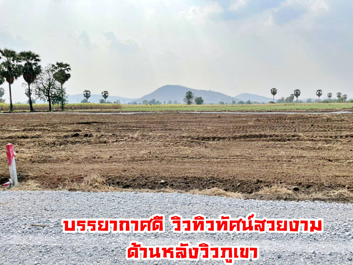 💰ขายแล้ว💰ขายที่ดินแปลงสวย วิวภูเขา เมืองทราวดี อ.อู่ทอง จ.สุพรรณบุรี เนื้อที่ 9ไร่ ไร่ละ 320,000 บ. {ขายยกแปลง}ที่สวย บรรยากาศดี วิวทิวทัศน์สวยงาม ⚜ติดถนนทางสาธารณะ กว้าง 7 เมตร สาธารณูปโภคครบครัน อยู่ใกล้แหล่งชุมชน