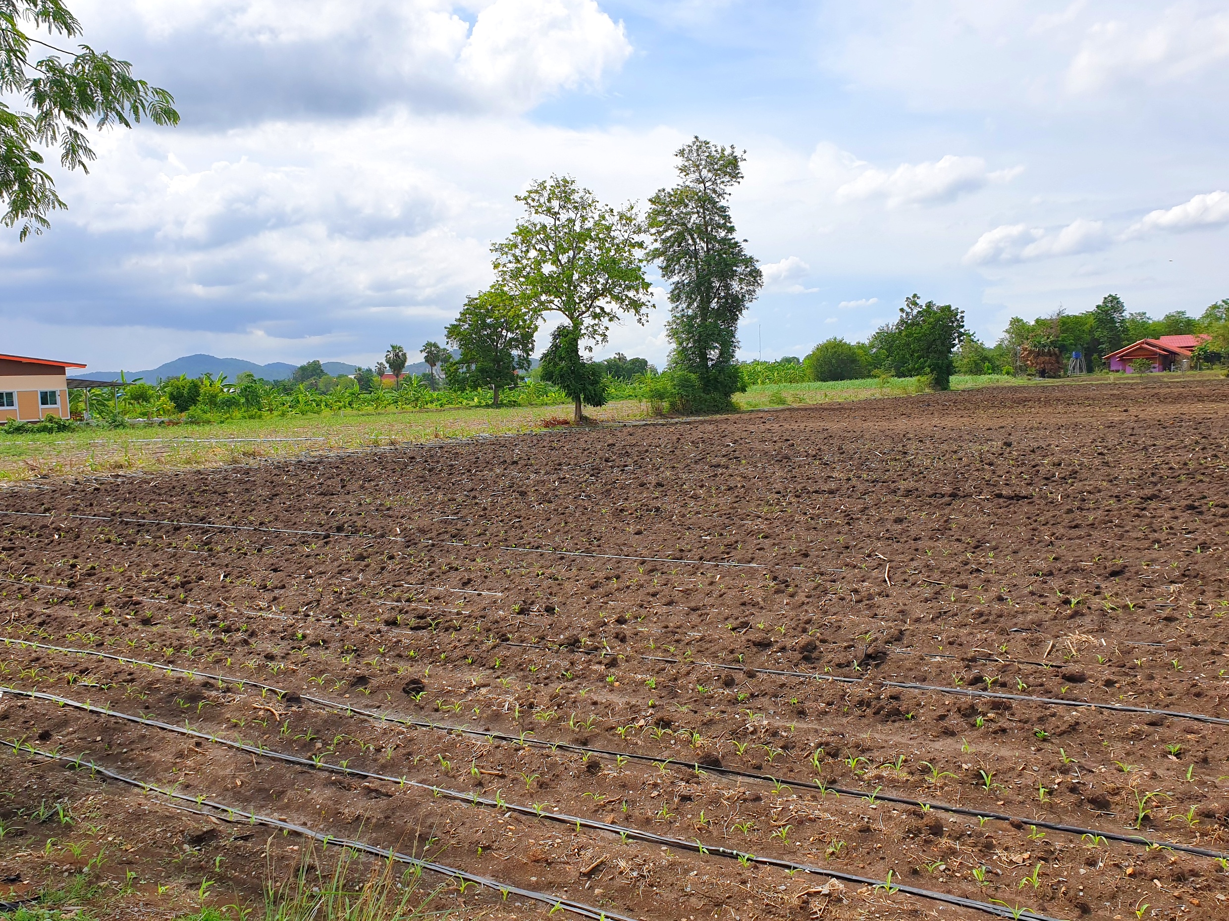 💰ขายแล้ว💰ขายที่ดินสวย ทำเลดี 3 ไร่ 2 งาน อ.อู่ทอง จ.สุพรรณบุรี ติดถนนลาดยาง ท่ามกลางธรรมชาติ วิวภูเขา