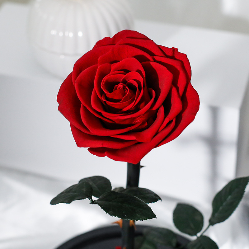 กุหลาบสดในโหลแก้ว Size M พร้อมกล่องสุด Premium