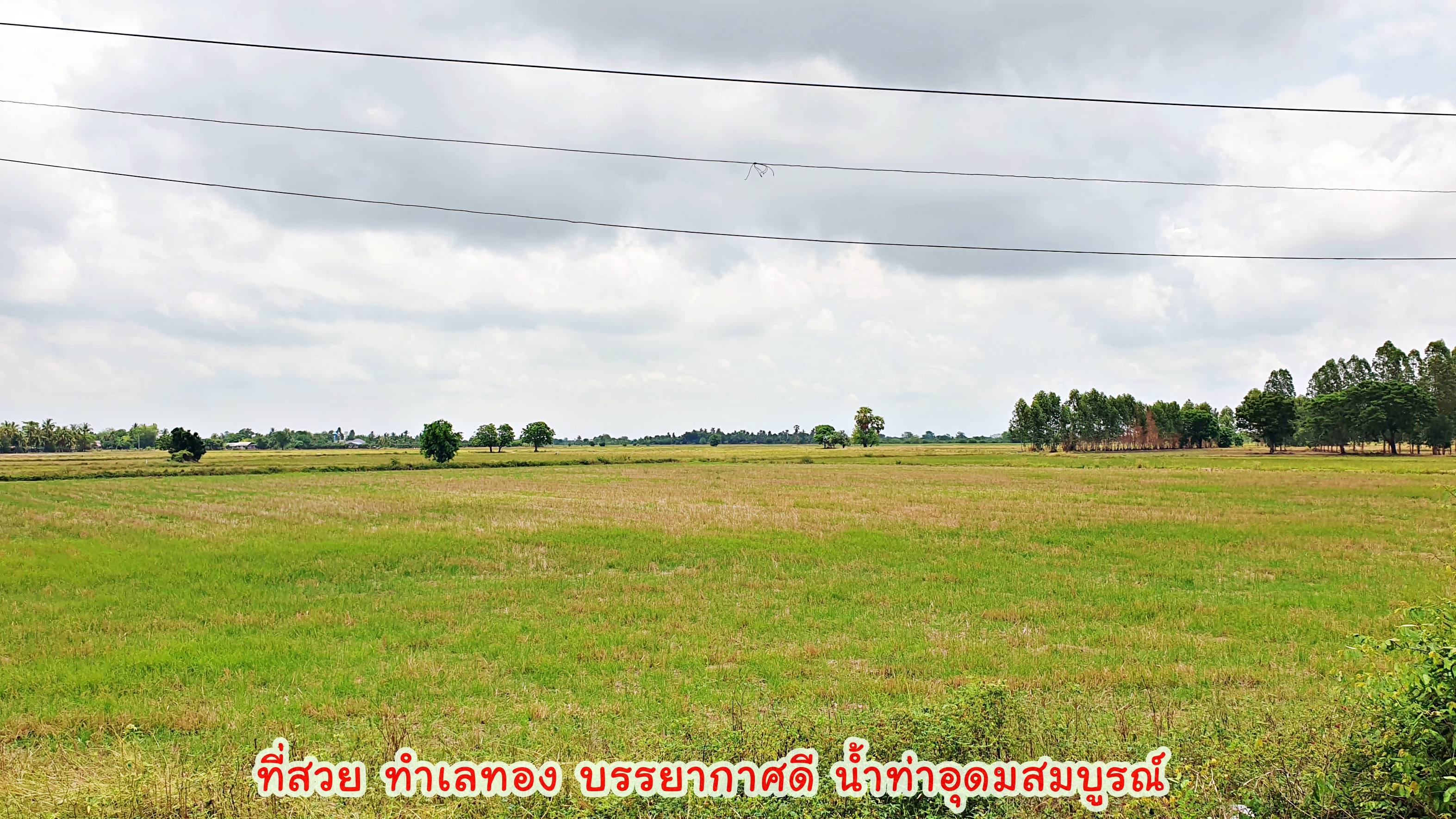 💰ขายแล้ว💰ขายที่ดินติดถนน 4 เลน ทำเลทอง ที่สวย ติดถนนสายเอเซีย 340 สุพรรณบุรี-ชัยนาท เนื้อที่ 11 ไร่ 3 งาน ไร่ละ 1.45 ล้าน หน้ากว้างติดถนน 4 เลน 178 เมตร ทำเลดี ที่สวย