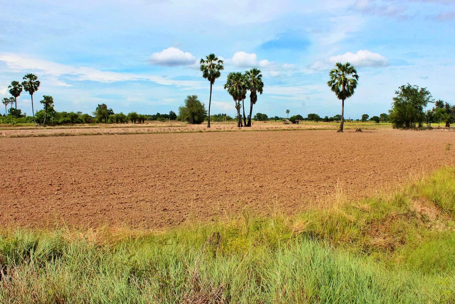 ขายที่ดินแปลงสวย อ. อู่ทอง จ.สุพรรณบุรี ดินดี ที่สวย เนื้อที่ 4-3-95 ไร่ ขายยกแปลง 1,250,000 บาท อยู่ใกล้ชุมชน เซเว่น รร วัด ตลาดนัด จากถนนทางหลวง 333 ประมาณ 900 เมตร