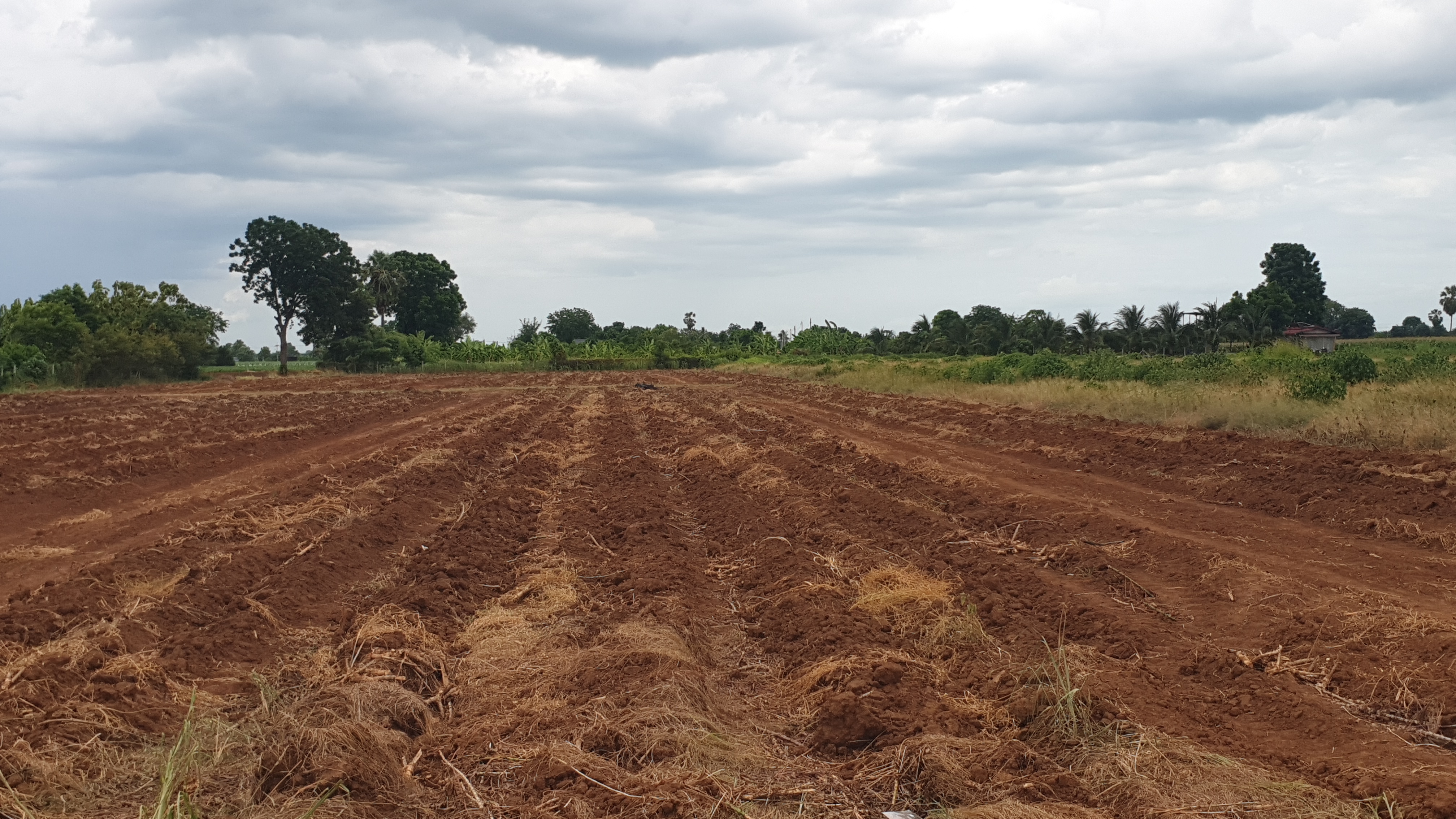 ขายที่ดินวิวภูเขา 180° อ.อู่ทอง จ.สุพรรณบุรี ใกล้แลนด์มาร์คสำคัญใน อ.อู่ทอง เนื้อที่: 16 ไร่ 1 งาน 26.8 ตร.ว. | ราคาไร่ละ 308,888 บาท ต.พลับพลาไชย อ.อู่ทอง จ.สุพรรณบุรี