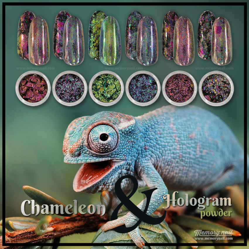 ผงขัดหน้าเล็บเจล ผง Chameleon เกร็ดหยาบ ผสมผง Hologram เกร็ดละเอียด ชุด6สี Chameleon & Hologram Powder