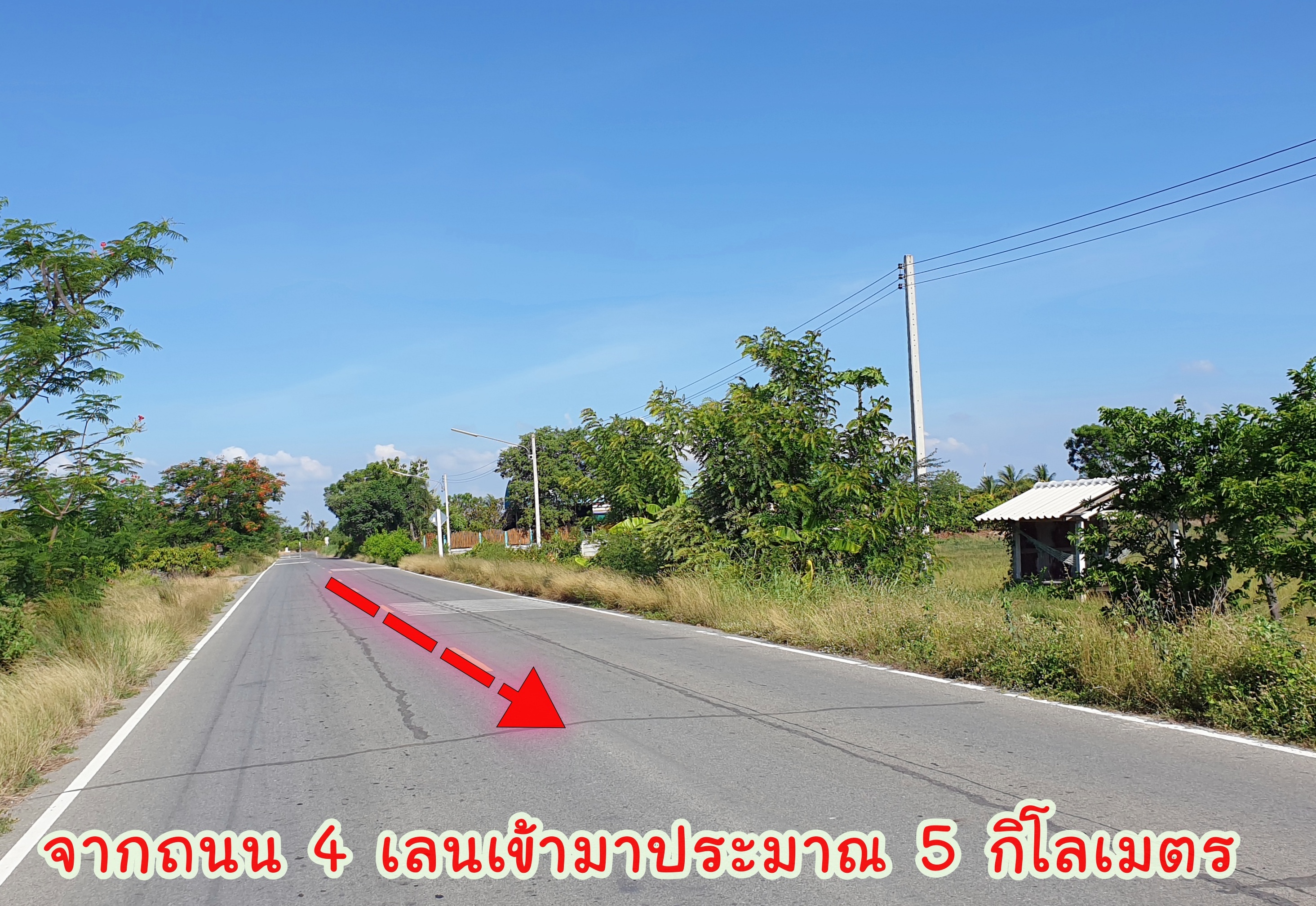 🌌ติดทรัพย์🌌ขายที่ดินติดถนนลาดยาง อ.เมือง จ.สุพรรณบุรี เนื้อที่ 4 ไร่ 2 งาน หน้ากว้างติดถนน 36 เมตร ลึก 195 เมตร อยู่ใกล้ แหล่งน้ำคลองมะขามเฒ่า น้ำอุดมสมบุรณ์ตลอดปี อยู่ใกล้ชุมชน เหมาะปลูกบ้านทำสวนเกษตร ยามเกษียณ หรือเปิดร้านอาหารท่ามกลางธร