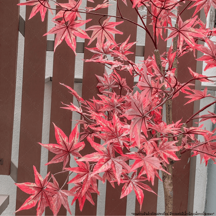 ต้นเมเปิ้ลปลอม red maple พร้อมกระถางดำ🌲150cm.