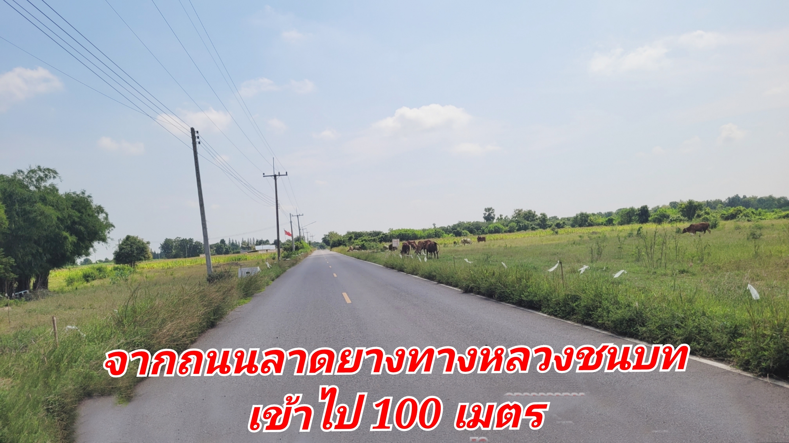 ขายด่วน! ที่ดินทำเลทอง วิวสวย ใกล้ชิดธรรมชาติ ที่ดิน 2 ไร่ บรรยากาศสุดฟิน วิวภูเขาเตะตา ไร่ละ 499,990 บาท (รวมค่าโอนและภาษีทั้งหมด) ต.พลับพลาชัย อ.อู่ทอง จ.สุพรรณบุรี ทำเลดีเยี่ยม: ติดถนนคอนกรีตขนาดกว้าง รถสวนกันได้สะดวก