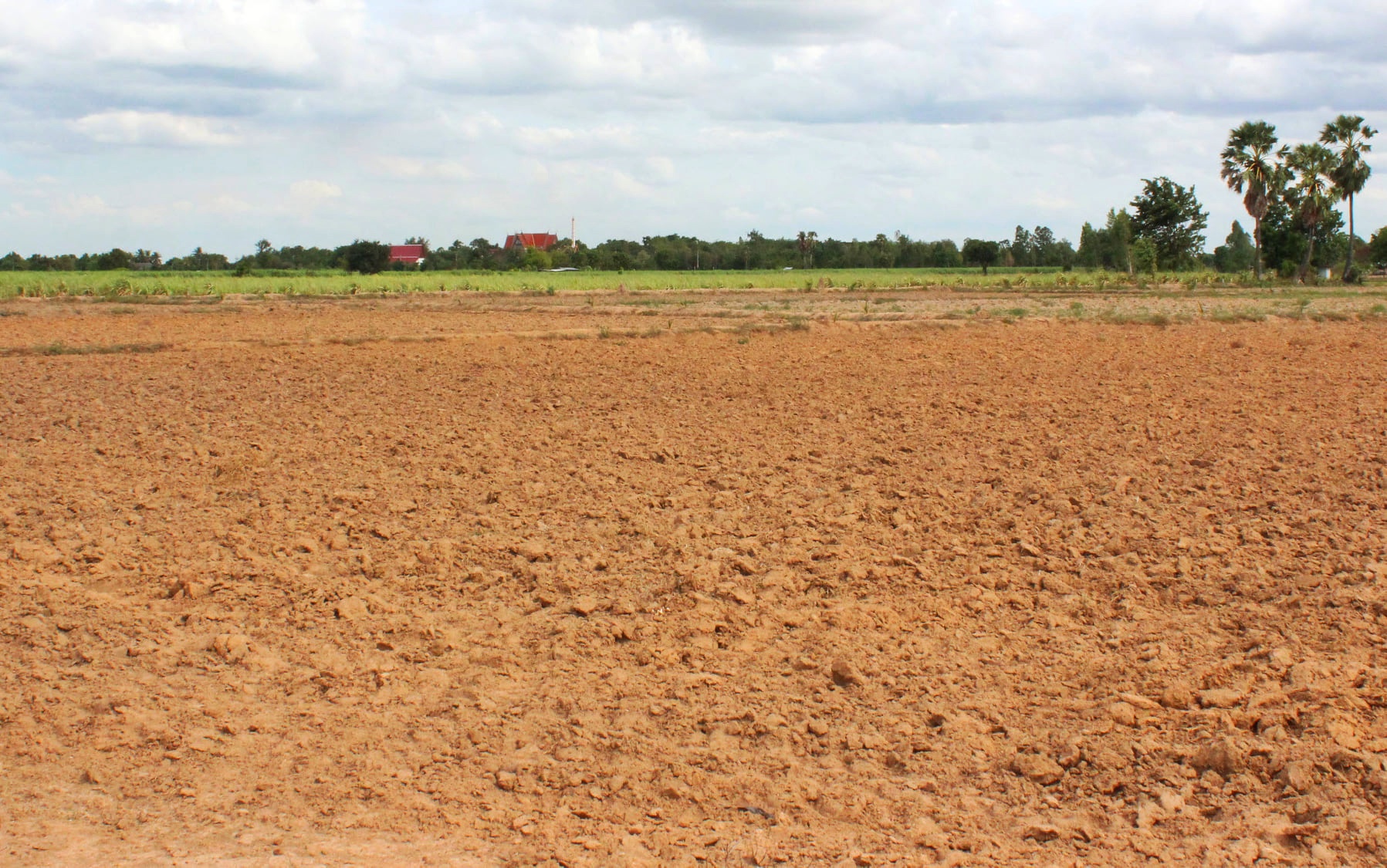 ขายทีดินเปล่า ที่สวย บรรยากาศดี อ.อู่ทอง จ.สุพรรณบุรี เนื้อที่ 37 ไร่ 2 งาน ไร่ละ 165,000 บ. ที่สวยบรรยากาศดี วิวทิวทัศน์สวยงาม ใกล้แหล่งชุมชน
