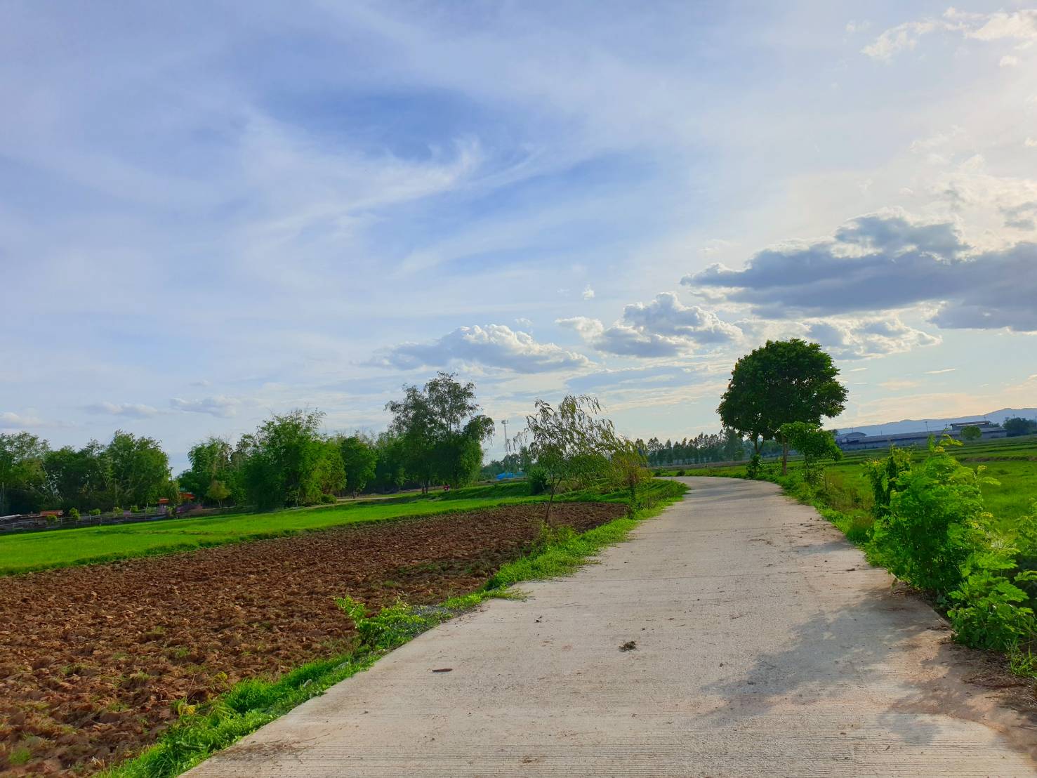 💰ขายแล้ว💰ขายที่ดินทำสวนเกษตร ที่สวย ติดถนน ติดคลอง อ.อู่ทอง จ.สุพรรณบุรี เนื้อที่ 19-1-87 ไร่ ไร่ละ 140,000 บ.