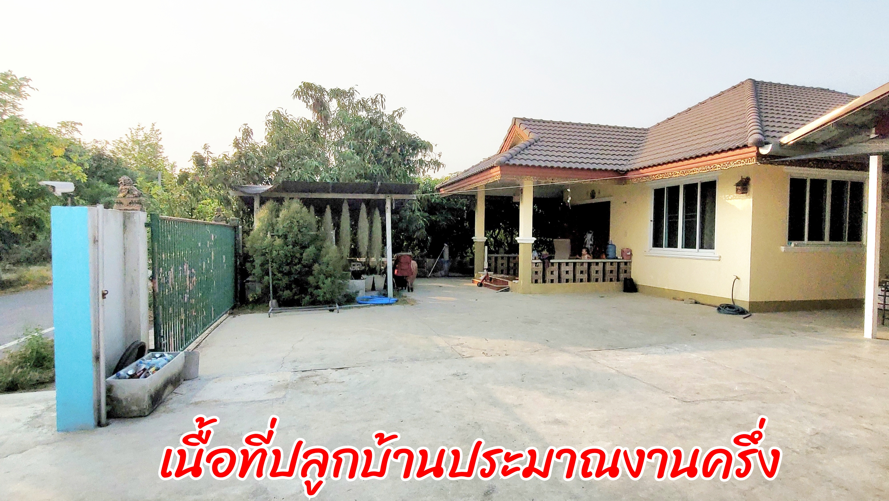 ขายบ้านพร้อมสวนมะม่วง 3 ไร่ ราคา: 3.5 ล้านบาท ติดถนนลาดยาง อ.เมือง จ.สุพรรณบุรี โอกาสทองสำหรับผู้รักบ้านสวน! กำลังมองหาบ้านพร้อมสวนผลไม้ บรรยากาศดี ร่มรื่น สงบ