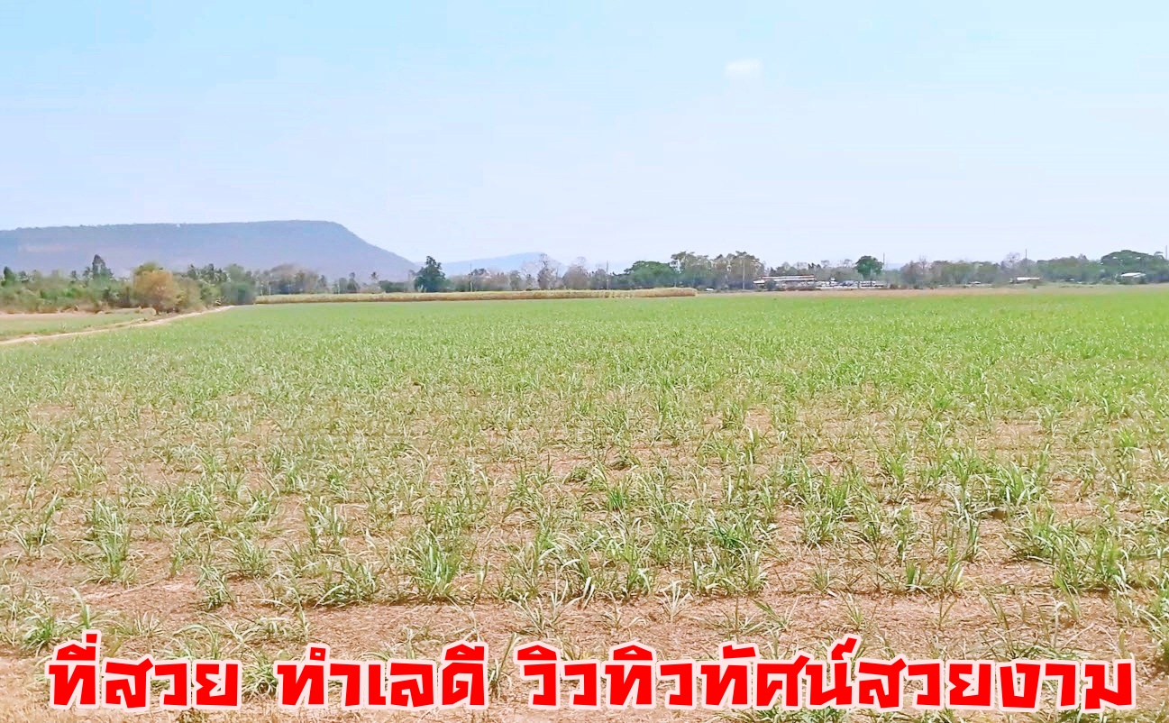 { ติดทรัพย์ } ขายที่ดินโคราช 346 ไร่ 2 งาน ไร่ละ 1.3 ล้าน ติดถนนสี่เลนสาย 304 กบินทร์บุรี-ปักธงชัย ที่สวย ด้านหน้าติดถนนสี่เลน ด้านหลังภูเขา เหมาะทำโครงการต่างๆ