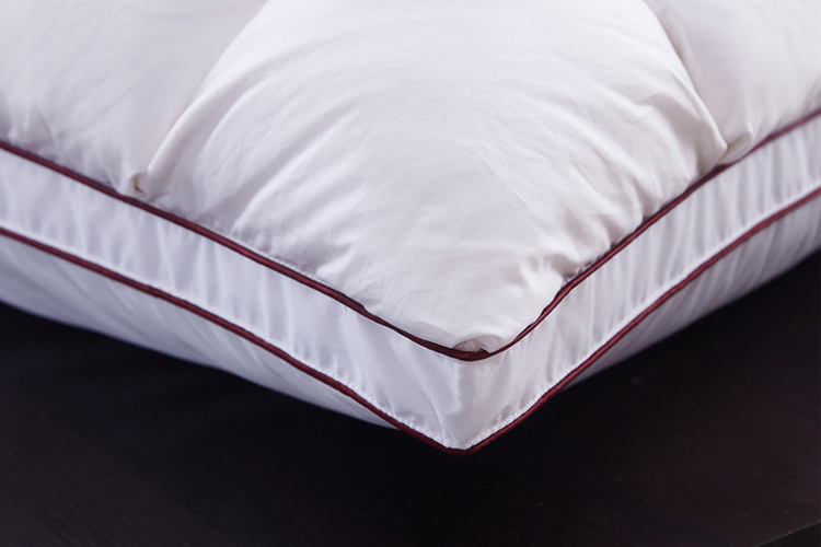 หมอนขนห่าน ใบใหญ่