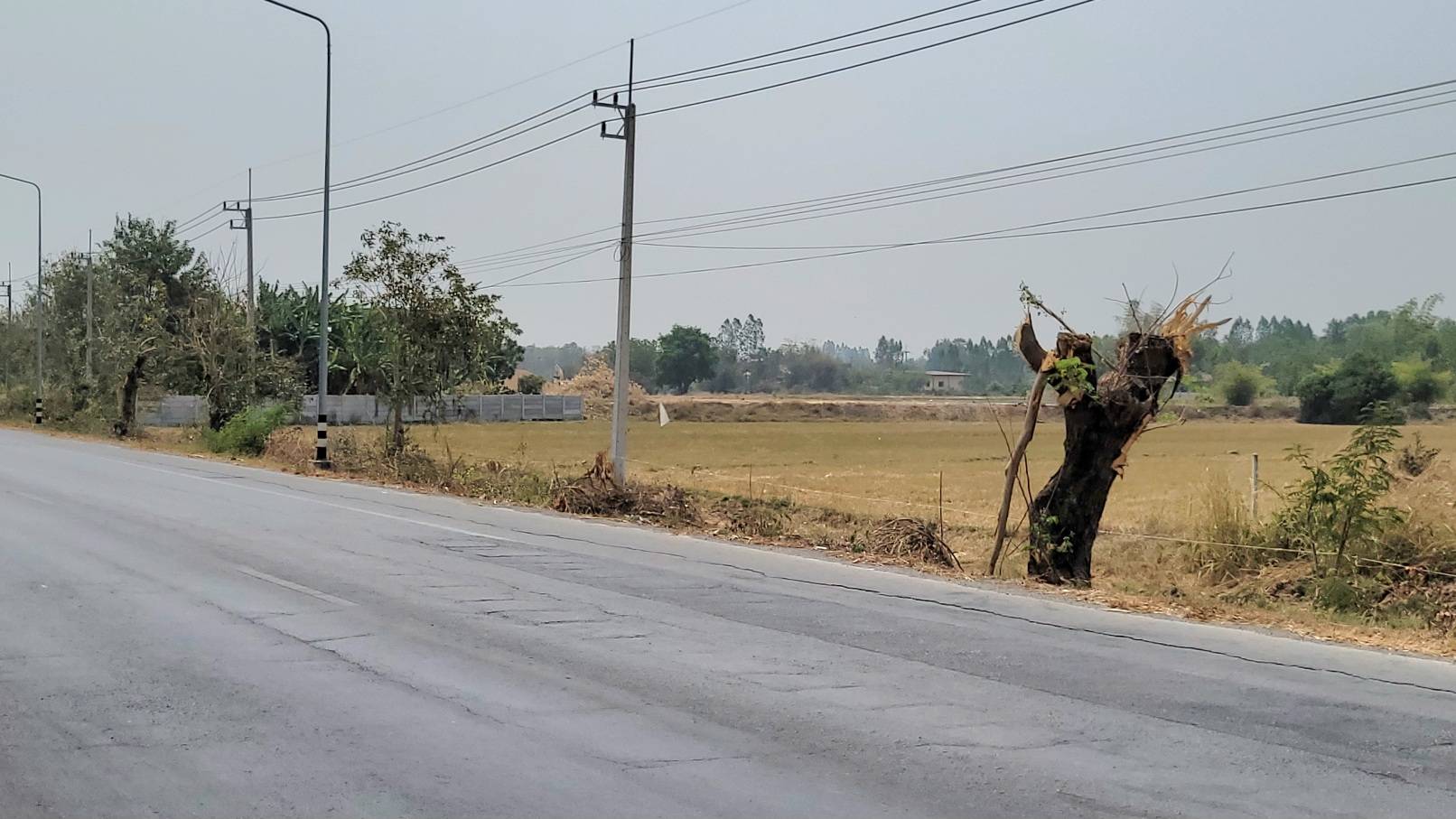 ที่ดินติดถนนใหญ่ 333ราคาเบา วิวสวย ทำเลท่องเที่ยวครบ จองด่วน! อ.อู่ทอง จ.สุพรรณบุรี ถูกกว่าตลาดเท่าตัว! 17ไร่ เหมาะรีสอร์ท/คาเฟ่/โกดัง ที่ดินศักยภาพสูง เหมาะกับการลงทุนเป็นอย่างยิ่ง