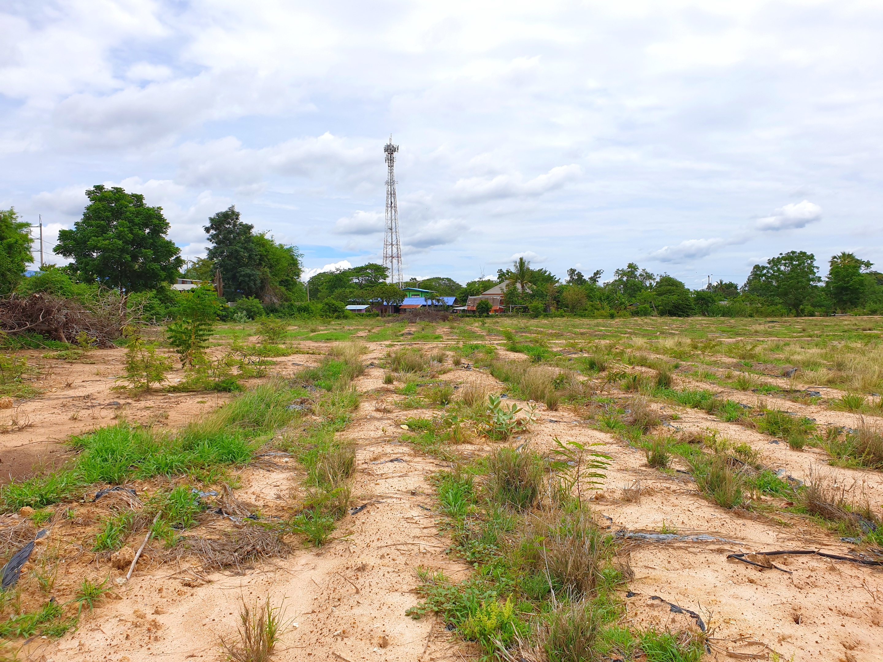 ขายที่ดินแปลงสวย ทำเลทอง จ.สุพรรณบุรี เนื้อที่ 19 ไร่ 2 งาน 69 ไร่ ติดถนนใหญ่ 4 เลน ทางหลวงแผ่นดิน (322) อู่ยา-ดอนเจดีย์