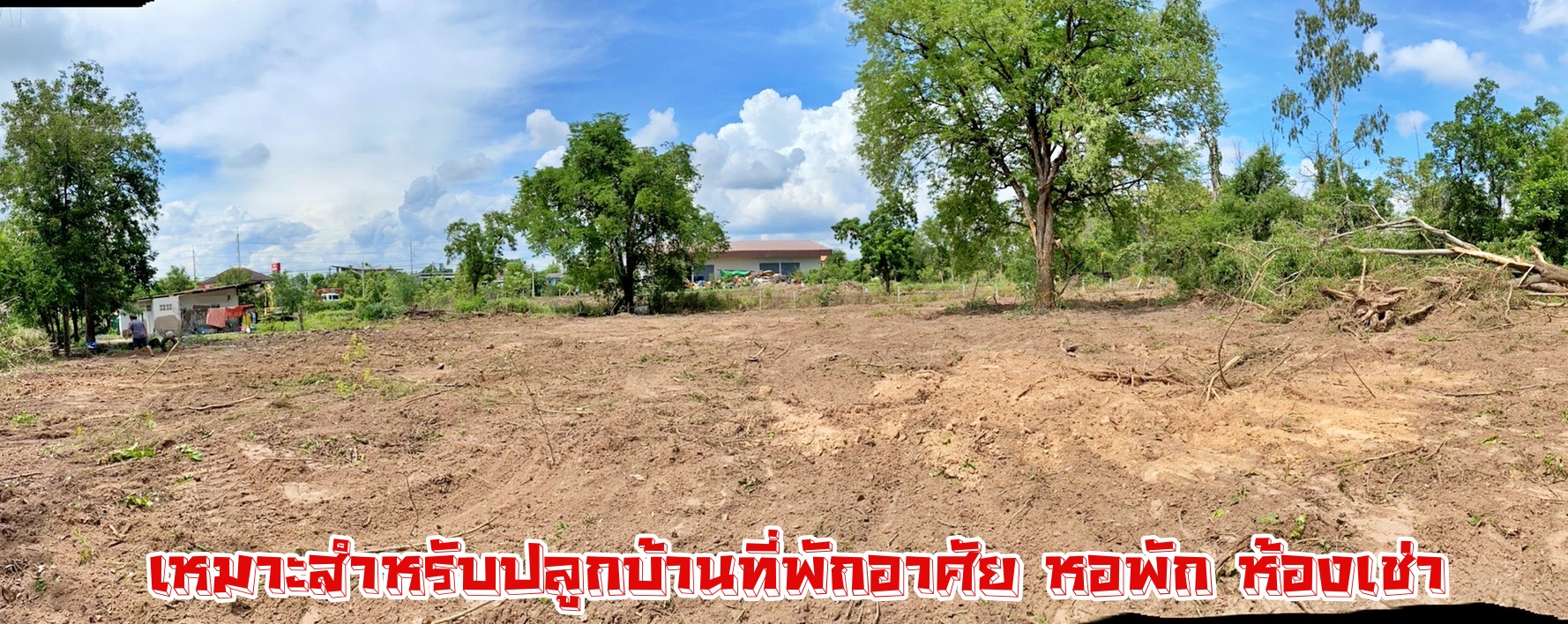 ขายที่ดิน ทำเลดี ต.โคกสูง จ.นครราชสีมา ใกล้ รร.บุญเหลือ ถนนสุรนารายณ์ 1-2-72 ไร่ ขายยกแปลง 5.6 ล้านที่สวย ทำเลดี สาธารณูปโภคครบครัน ใกล้แหล่งชุมชน ติดถนนคอนกรีตกว้าง รถวิ่งสวนได้สบาย เข้า-ออก ได้หลายช่องทาง