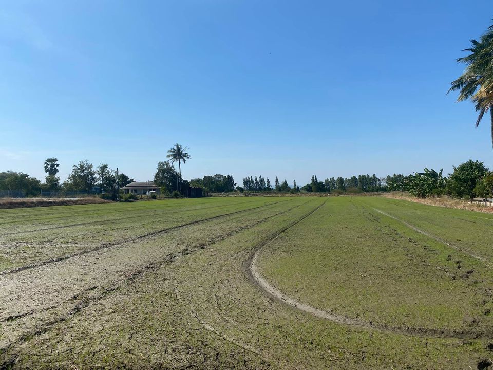 💰ขายแล้ว💰ขายที่ดินติดถนนลาดยาง อ.เมือง จ.สุพรรณบุรี 4 ไร่ 56 ตรว ทำเลดี ที่สวย บรรยากาศดี วิวทิวทัศน์สวยงาม ขายยกแปลง 1,800,000 บ. ติดถนนทางสาธารณประโยชน์ ลาดยาง 2 ด้าน