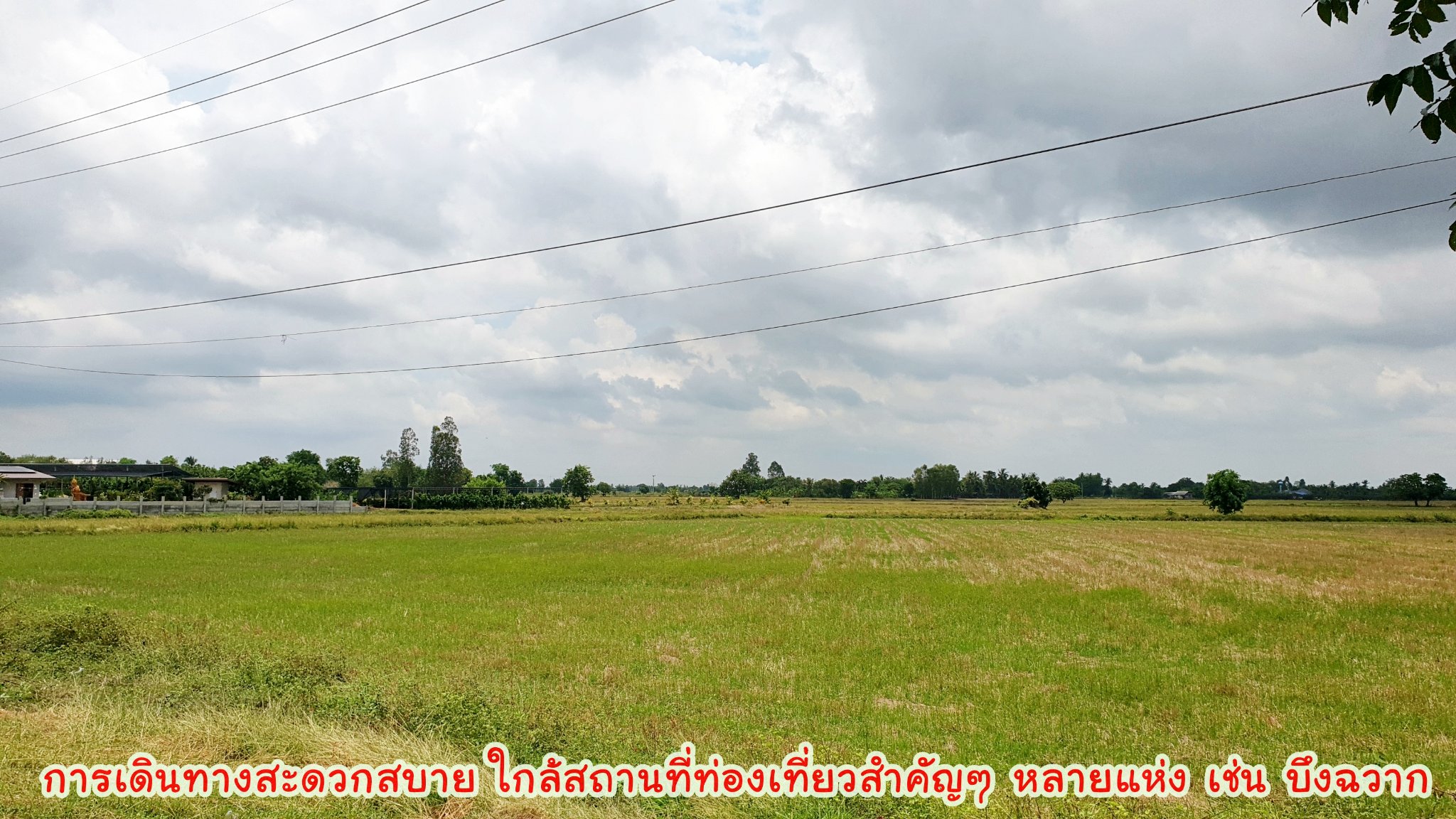 💰ขายแล้ว💰ขายที่ดินติดถนน 4 เลน ทำเลทอง ที่สวย ติดถนนสายเอเซีย 340 สุพรรณบุรี-ชัยนาท เนื้อที่ 11 ไร่ 3 งาน ไร่ละ 1.45 ล้าน หน้ากว้างติดถนน 4 เลน 178 เมตร ทำเลดี ที่สวย