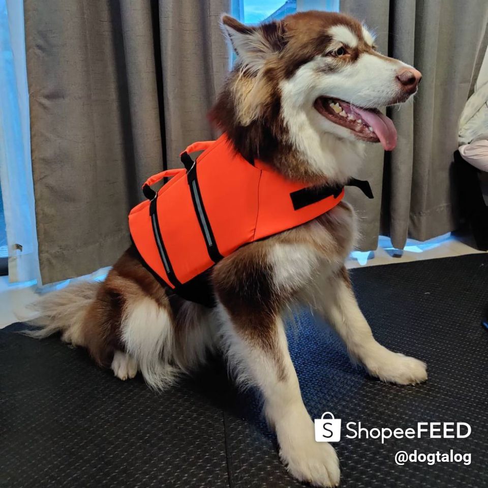 เสื้อชูชีพสุนัข Dogtalog เบอร์ XXL
