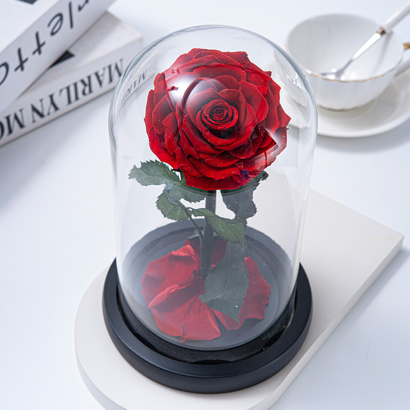 กุหลาบสดในโหลแก้ว Size M พร้อมกล่องสุด Premium