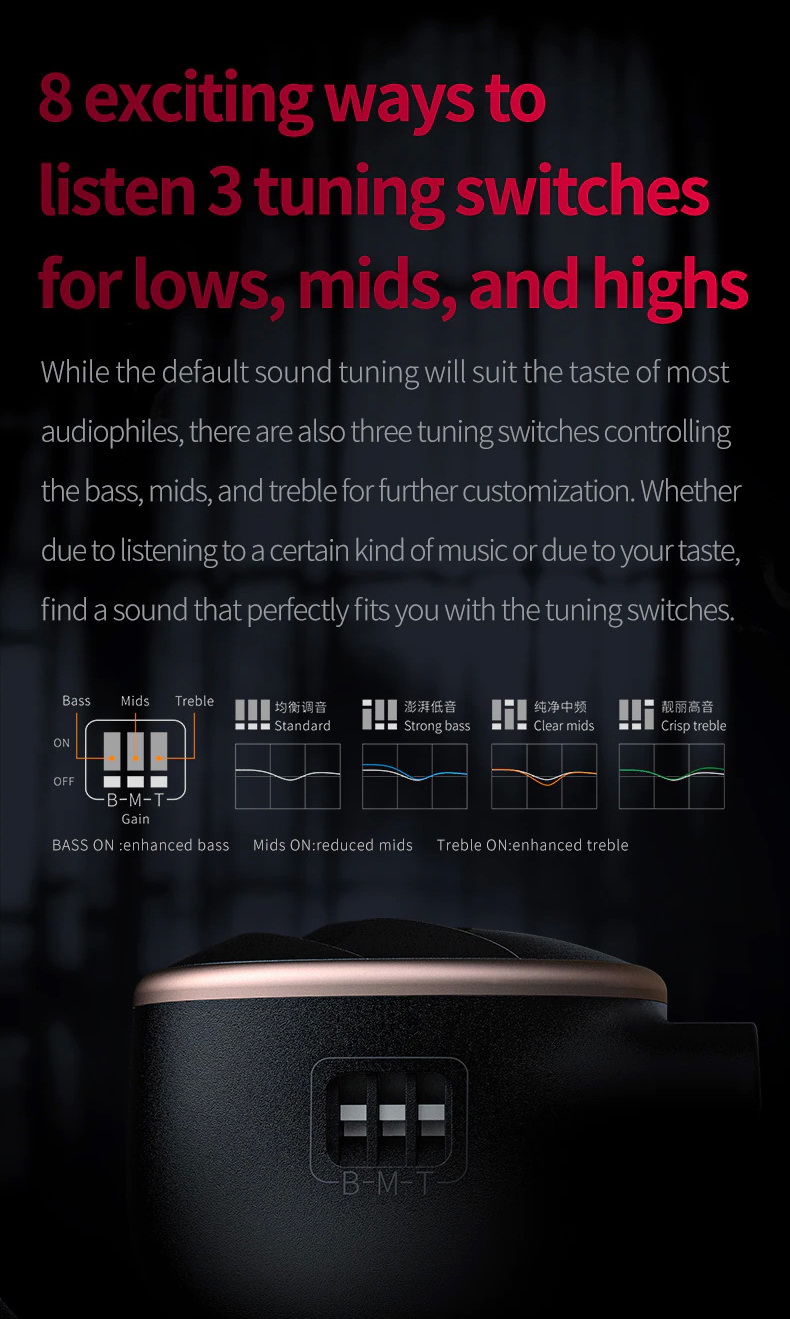 ขาย FiiO FH5S PRO หูฟัง 4 ไดรเวอร์ 2DD+2BA ประกันศูนย์ไทย