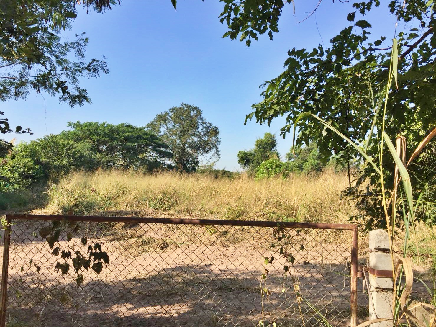 ขายที่ดินโฉนดแปลงสวย ทำเลดี อ.ขามทะเลสอ จ.นครราชสีมา เนื้อที่ 2 ไร่ 3 งาน 4 ตรว ไร่ละ 2.65 ล้าน {ขายยกแปลง} รวมค่าโอน+ภาษี อยู่หลังที่ว่าการอำเภอขามทะเลสอ ติดถนน แปลงสวย ทำเลดีมากๆ ห่างจากสำนักงานกรมที่ดินโคราช สาขาขามทะเลสอ 160 เมตร