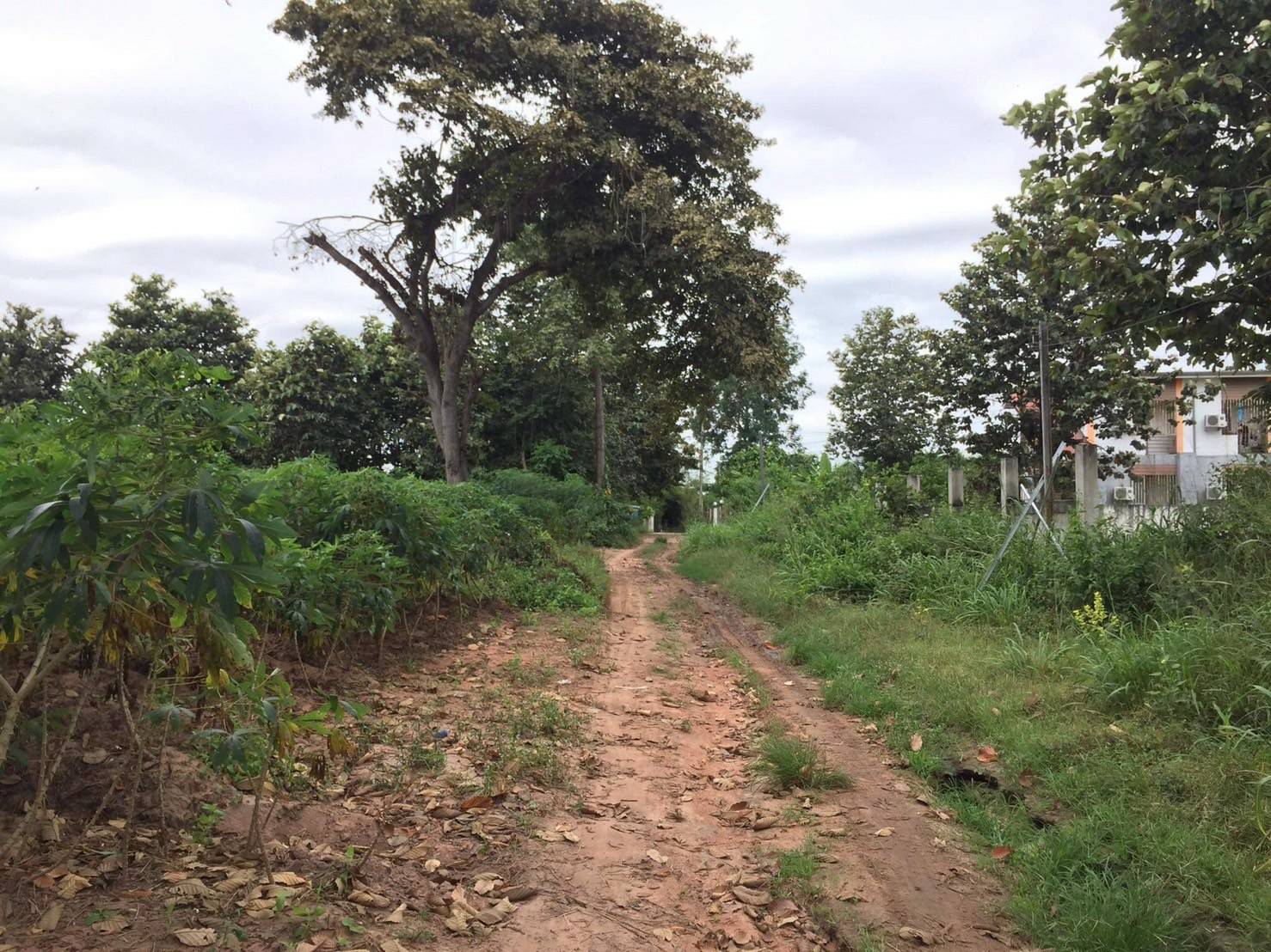 💲ติดทรัพย์💲ขายที่ดินแปลงสวย ทำเลดี ต.โคกสูง อ.เมืองโคราช เนื้อที่ 3 ไร่ ไร่ละ 3.5 ล้าน ที่สวย ทำเลดี ติดถนนทางสาธารณประโยชน์ หน้ากว้างประมาณ 46 เมตร ลึก 110 เมตร ที่ดินรูปสี่เหลี่ยม ใกล้แหล่งชุมชน สาธารณูปโภคครบครัน ไฟฟ้า น้ำประปา ผ่านหน้า