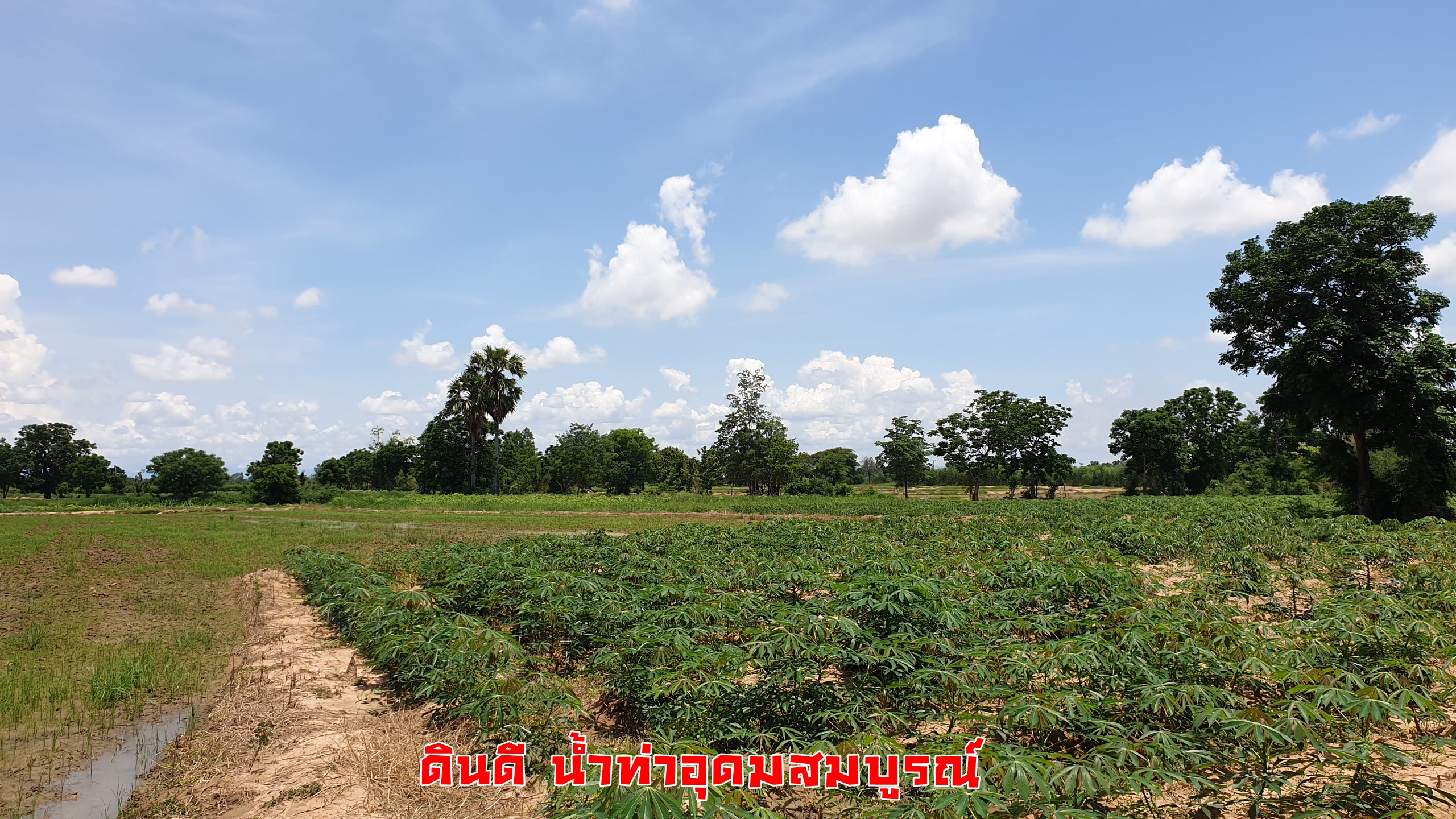 ขายที่ดินราคาถูก ดินดี น้ำดี ติดคลองใหญ่ อ.เลาขวัญ จ.กาญจนบุรี เนื้อที่ 29 ไร่ ไร่ละ 1.3 แสน อยู่ในแหล่งชุมชน ใกล้วัด ใกล้โรงเรียน รถยนต์ ไฟฟ้า นํ้า เข้าถึง