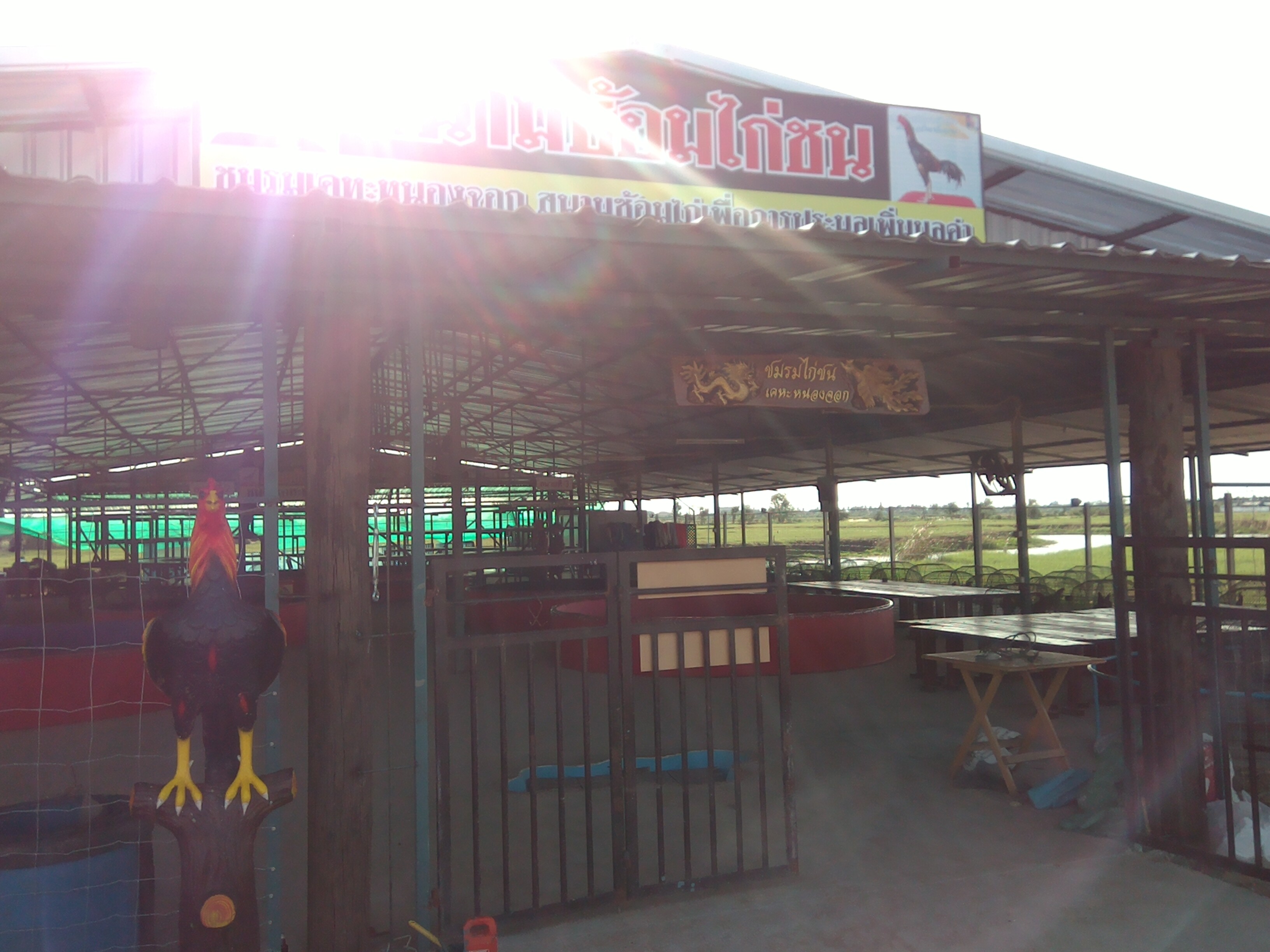 บริการถ่ายทอดสดแบบเคลื่อนที่ด้วยระบบ 3G/4G (Teradek Bond II)