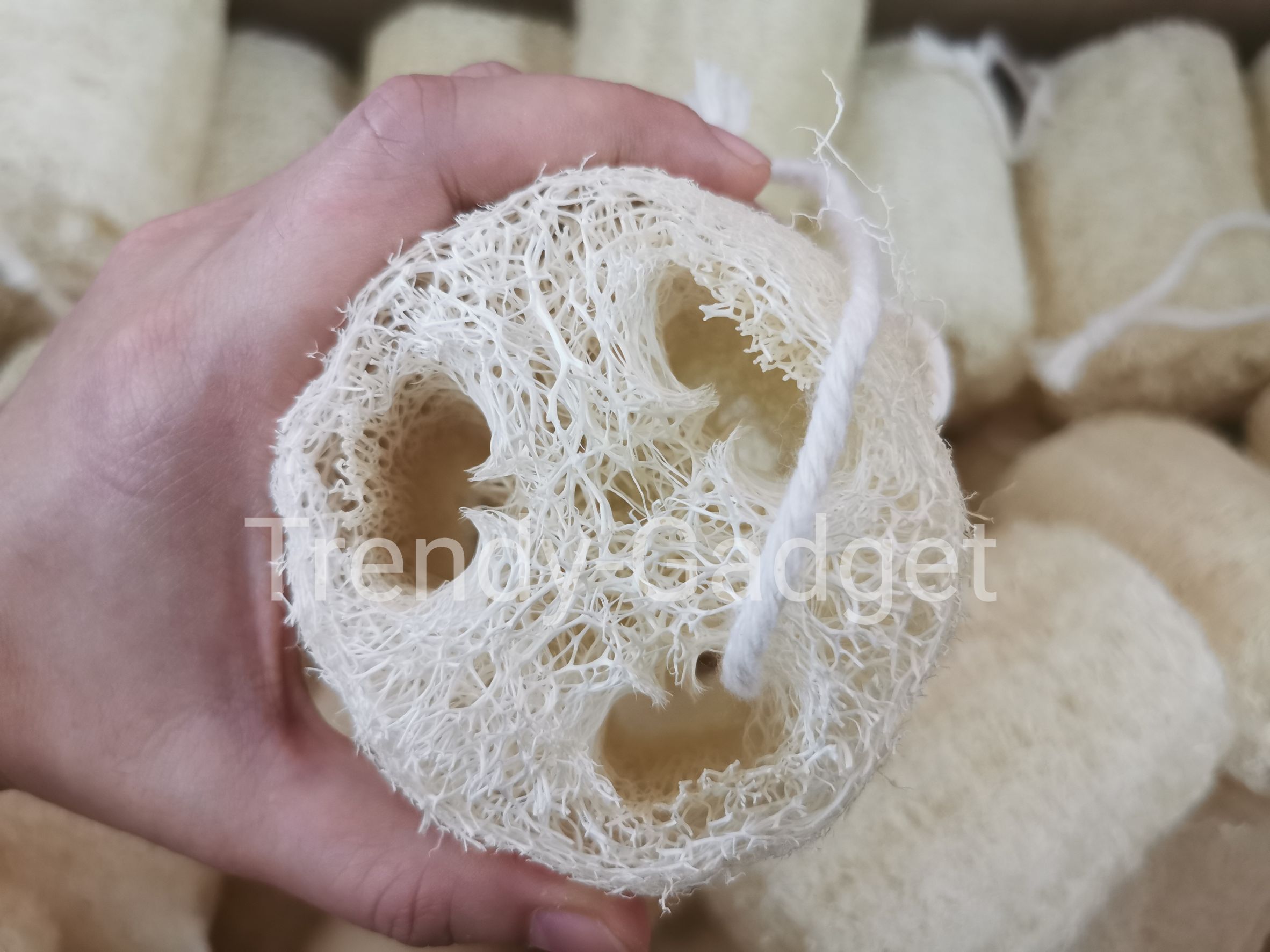 ใยบวบธรรมชาติ