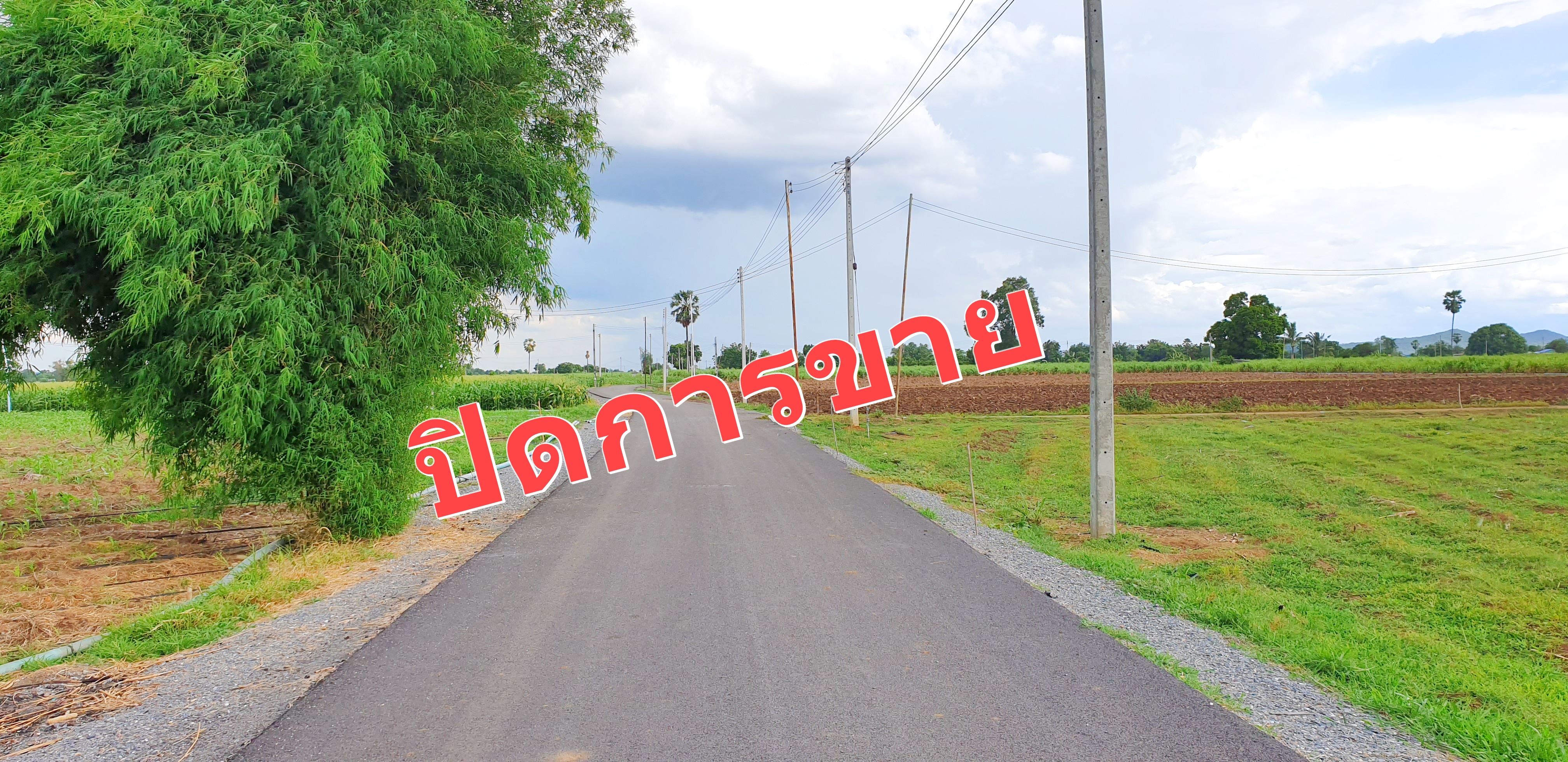 💰ขายแล้ว💰ขายที่ดินวิวสวย ติดถนนลาดยาง บรรยากาศดี วิวทิวทัศน์สวยงาม อ.อู่ทอง จ.สุพรรณบุรี เนื้อที่ 10 ไร่ ราคาไร่ละ 280,000 บาท ด้านหน้าติดถนนลาดยาง เข้า-ออก ได้หลายทาง