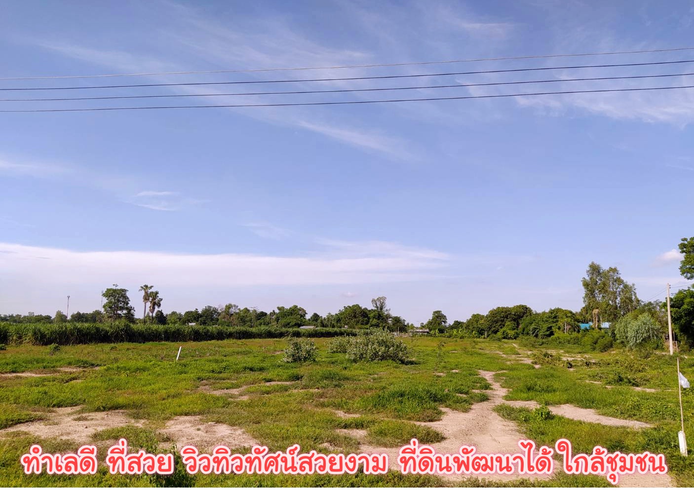 ขายที่ดินแปลงสวย อ.อู่ทอง จ.สุพรรณบุรี ที่ดินเนื้อที่ 3-2-63 ไร่ ขายยกแปลง 1.65 ล้าน รวมค่าโอน ติดถนนลาดยางหน้ากว้างประมาณ 39 เมตร ลึก 180 เมตร ด้านหน้าติดถนนลาดยาง ด้านท้ายติดลำห้วย ทางหลวงแผ่นดินสายอู่ทอง- สระกระโจม (สาย 333) เข้ามา 500 เมตร