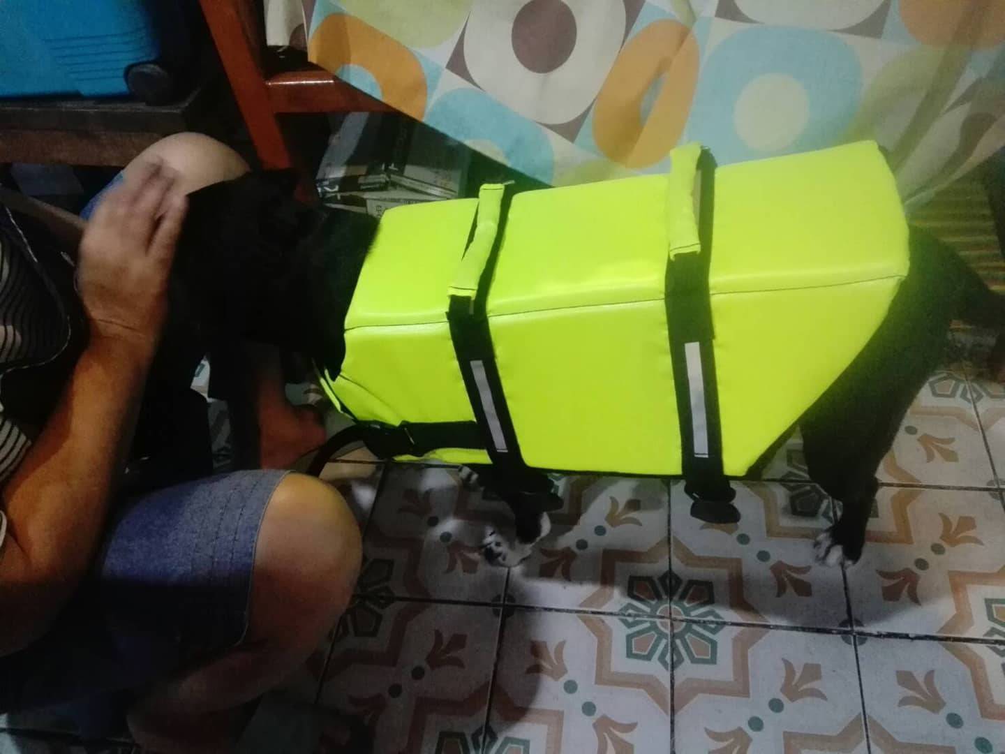 เสื้อชูชีพสุนัข Dogtalog เบอร์ XXL