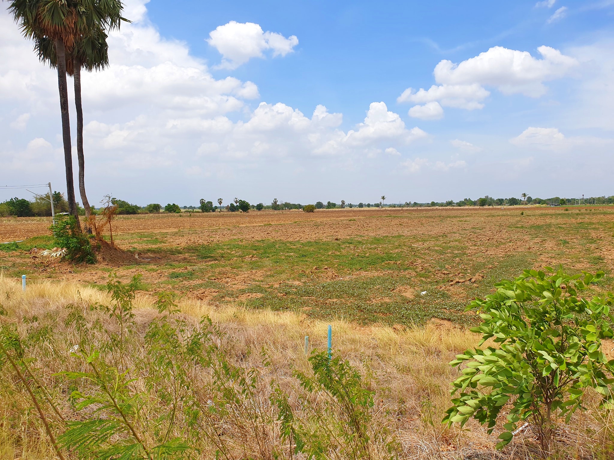 💰ขายแล้ว💰ขายที่ดินราคาถูก สุพรรณบุรี อ.อู่ทอง ดินดี ที่สวย เนื้อที่ 13 ไร่ ไร่ละ 290,000 บาท แบ่งขาย 6 ไร่ ที่ดินติดถนนทางหลวงชนบท 3019 บรรยากาศดี วิวสวย วิวภูเขา