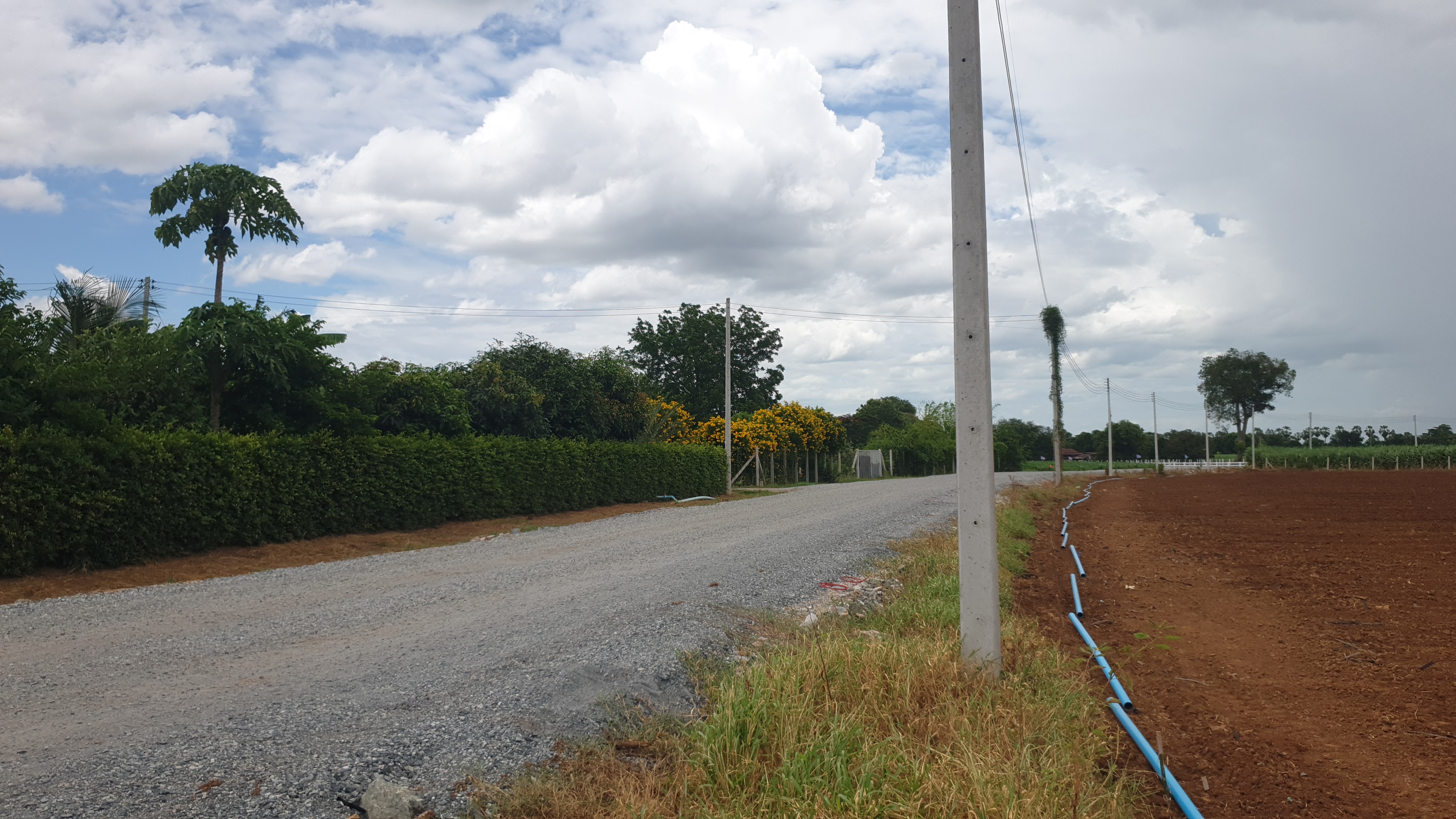 ขายที่ดินสวย 12 ไร่ 2 งาน 53.5 ตร.ว. หน้ากว้างติดถนนสาธารณะ 193 ม. วิวภูเขา 180° อากาศดี เงียบสงบ เหมาะทำบ้านพัก รีสอร์ต หรือเกษตรครบวงจร โอบล้อมด้วยทิวเขา 180° วิวอลังการเต็มตา บรรยากาศธรรมชาติสุดฟิน