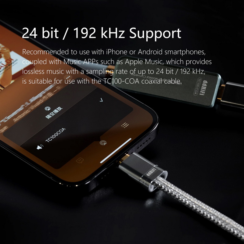 DD TC100-COA สายแปลง Type-C ต่อออก RCA เครื่องเสียง ประกันศูนย์ไทย